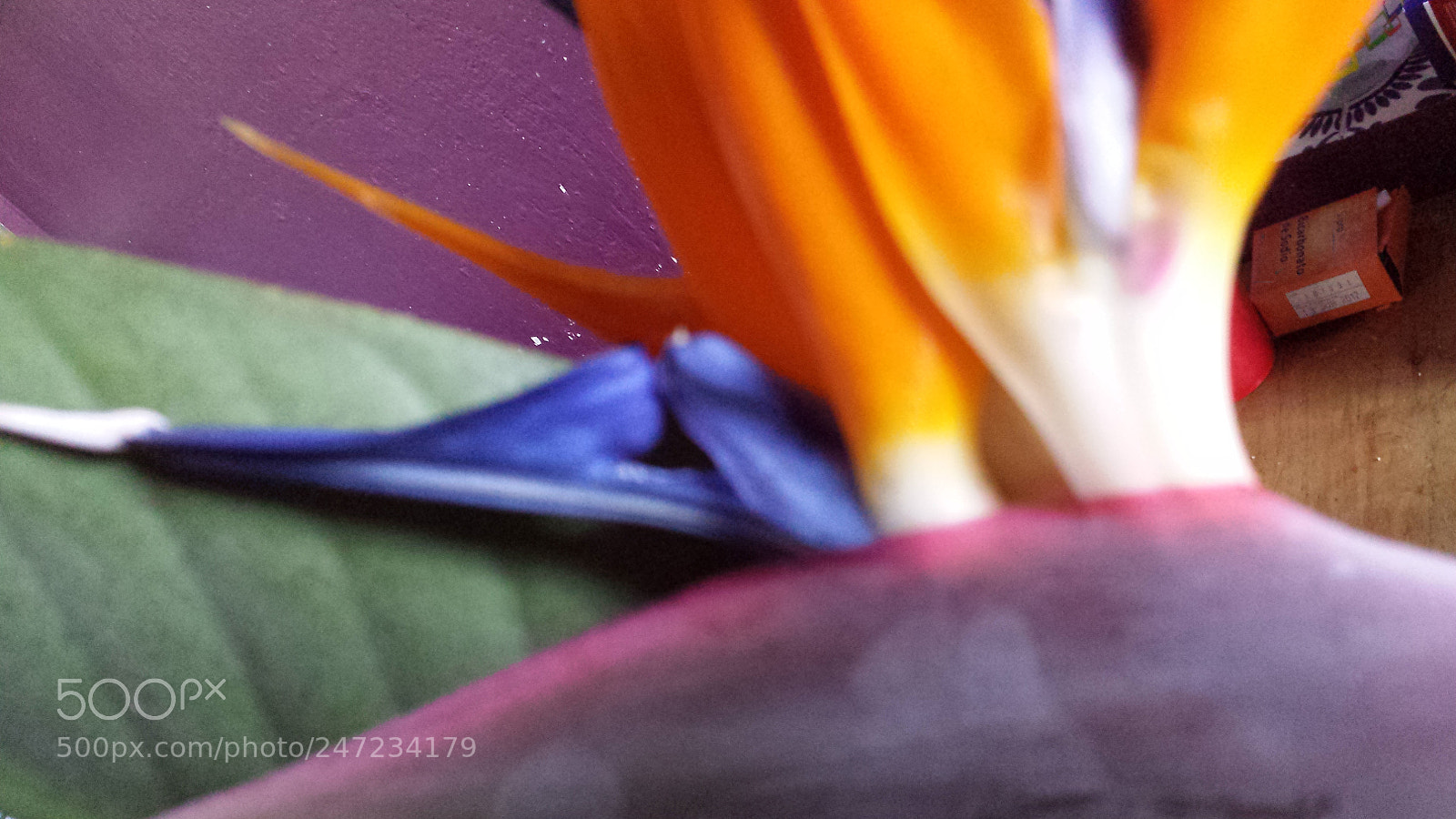 Samsung Galaxy S4 sample photo. Untitled photography