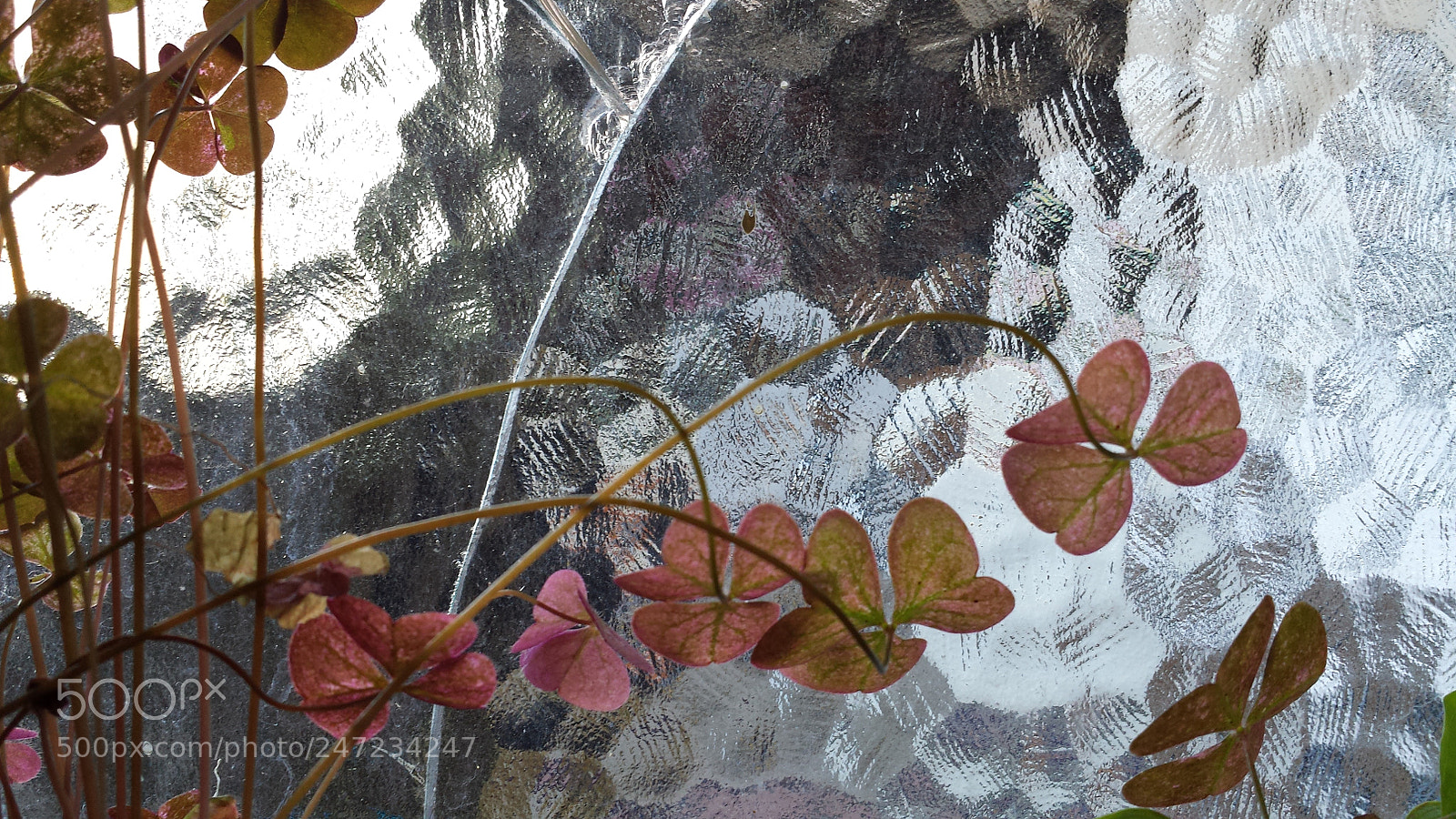 Samsung Galaxy S4 sample photo. Untitled photography