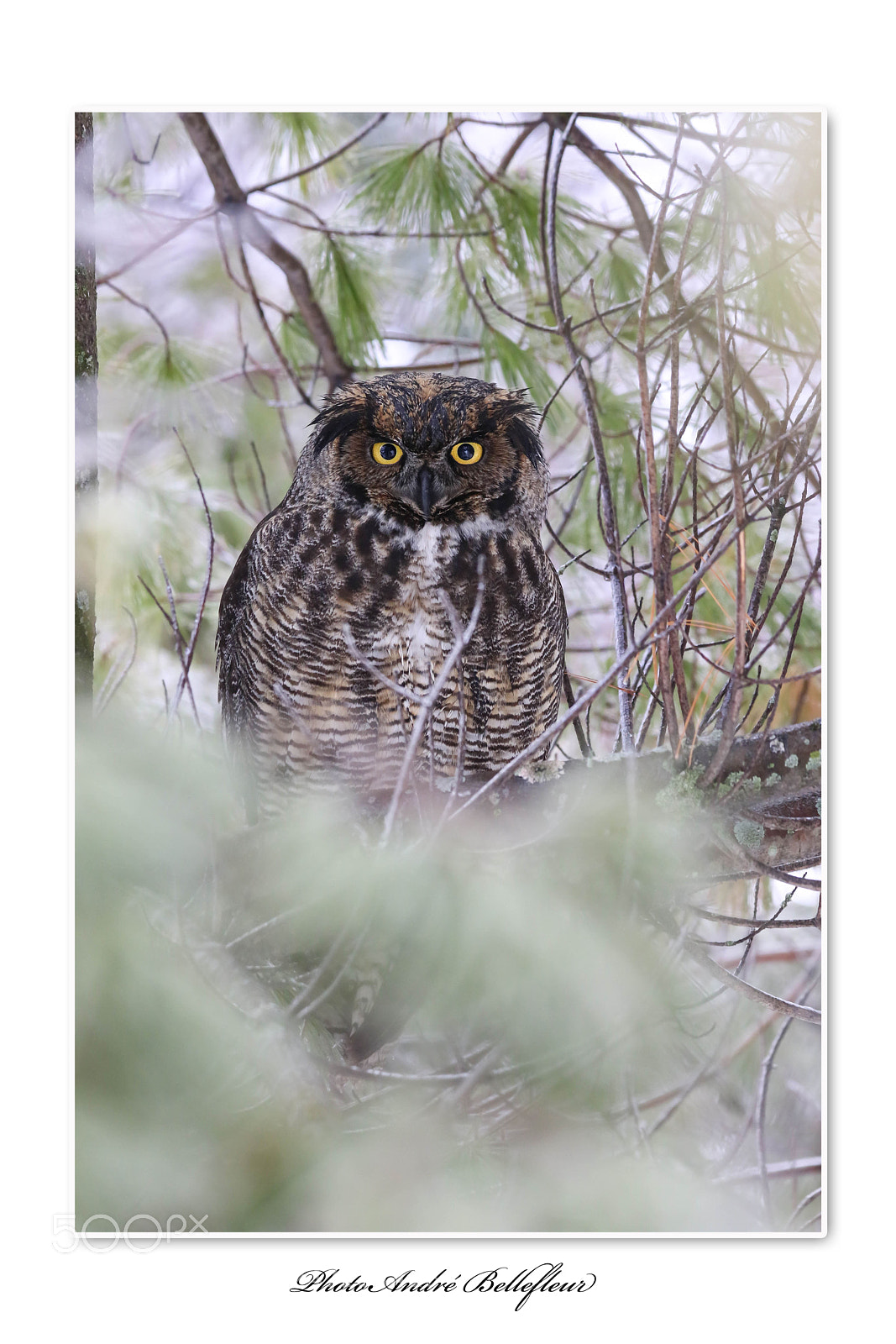 Canon EOS 7D Mark II sample photo. A photography