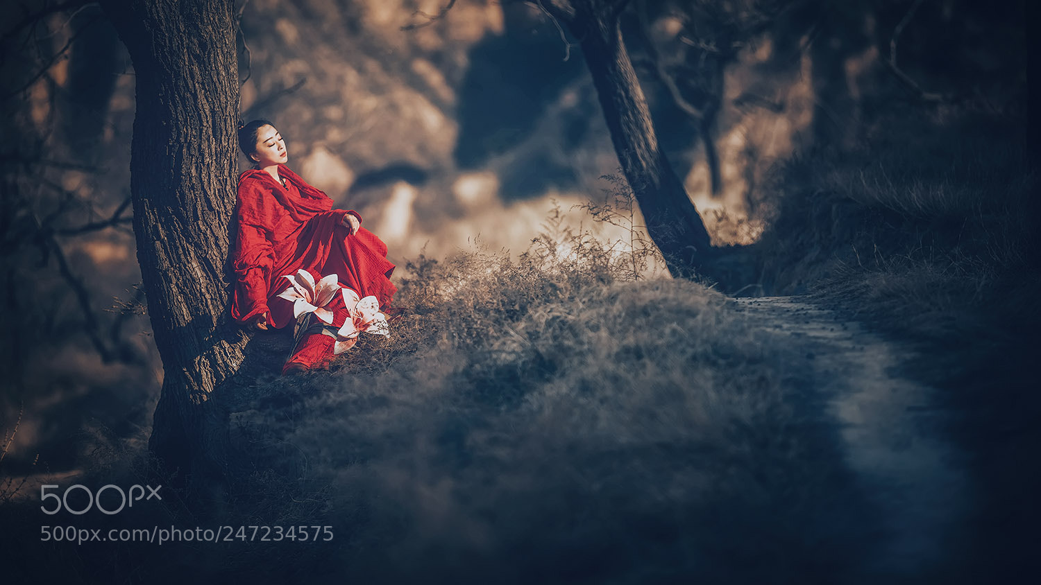 Canon EOS 5DS R sample photo. Untitled photography