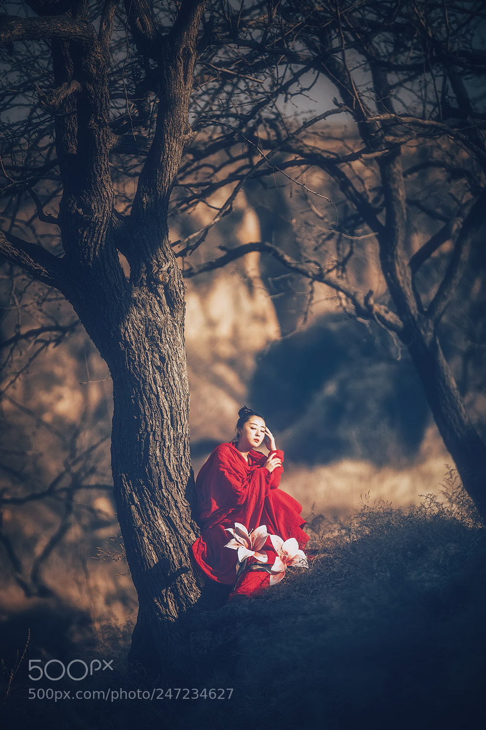 Canon EOS 5DS R sample photo. Untitled photography