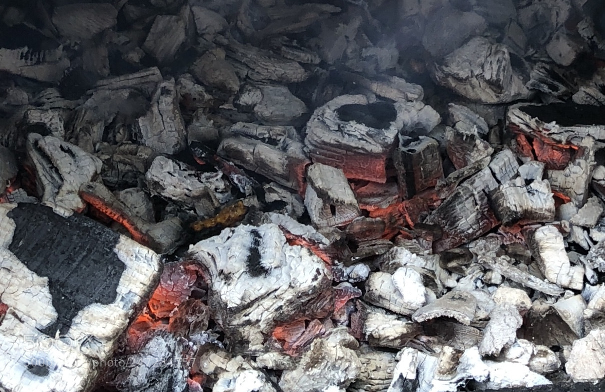 Apple iPhone 8 sample photo. Bbq getting ready photography