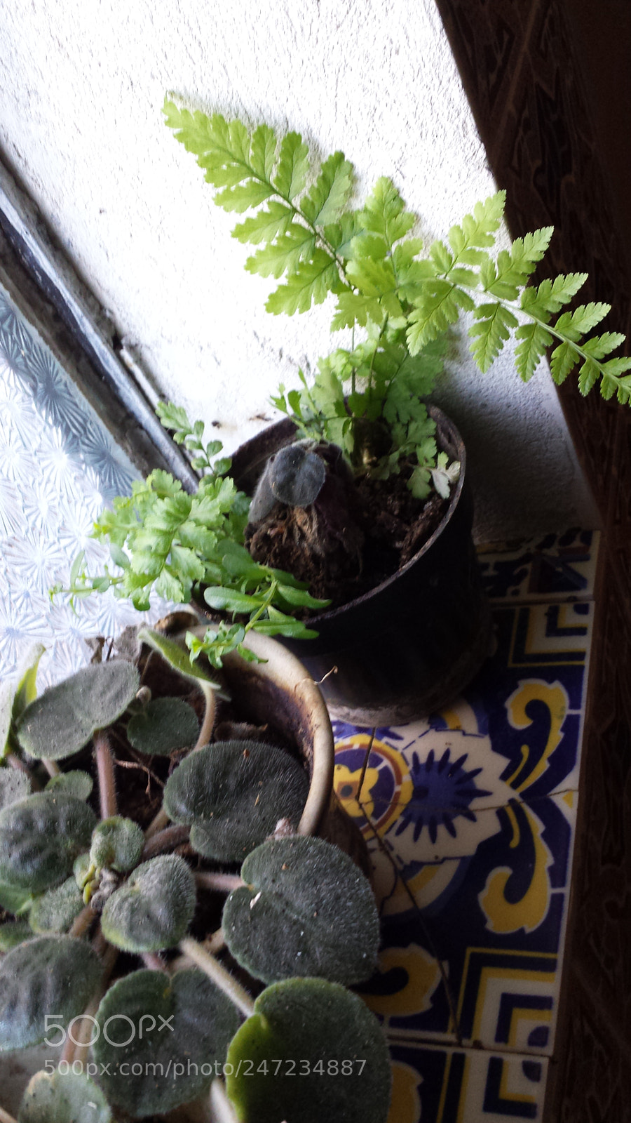 Samsung Galaxy S4 sample photo. Untitled photography