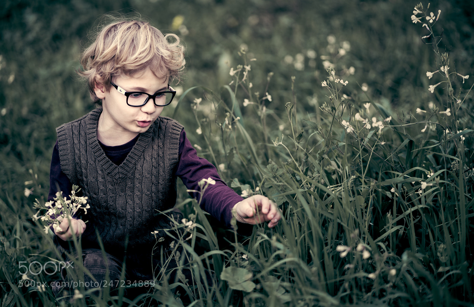 Sony a7R II sample photo. Flower picking photography