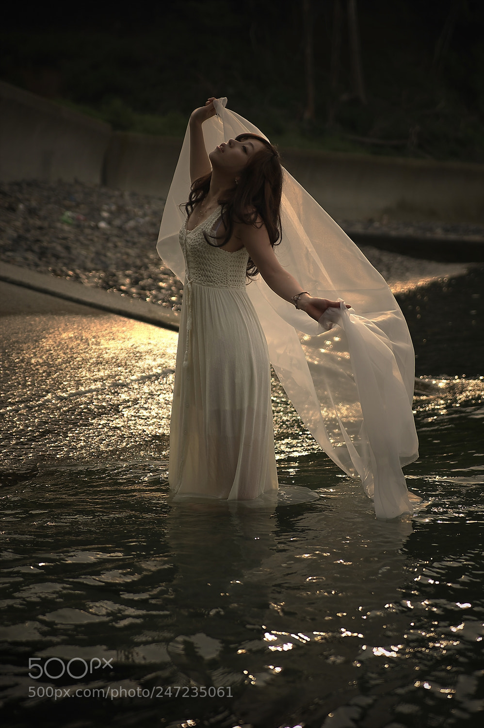 Nikon D700 sample photo. Untitled photography