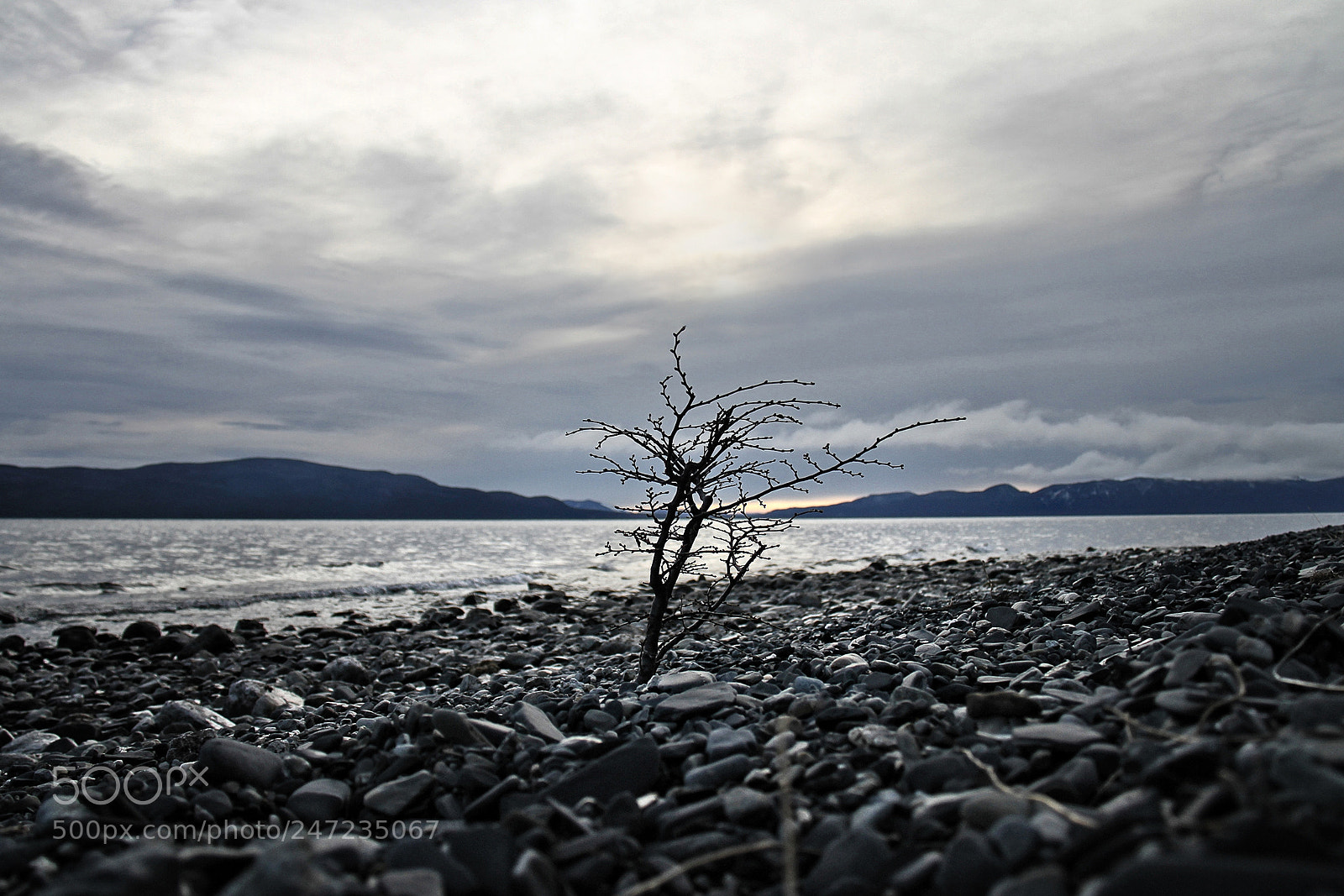 Canon EOS 7D sample photo. Untitled photography
