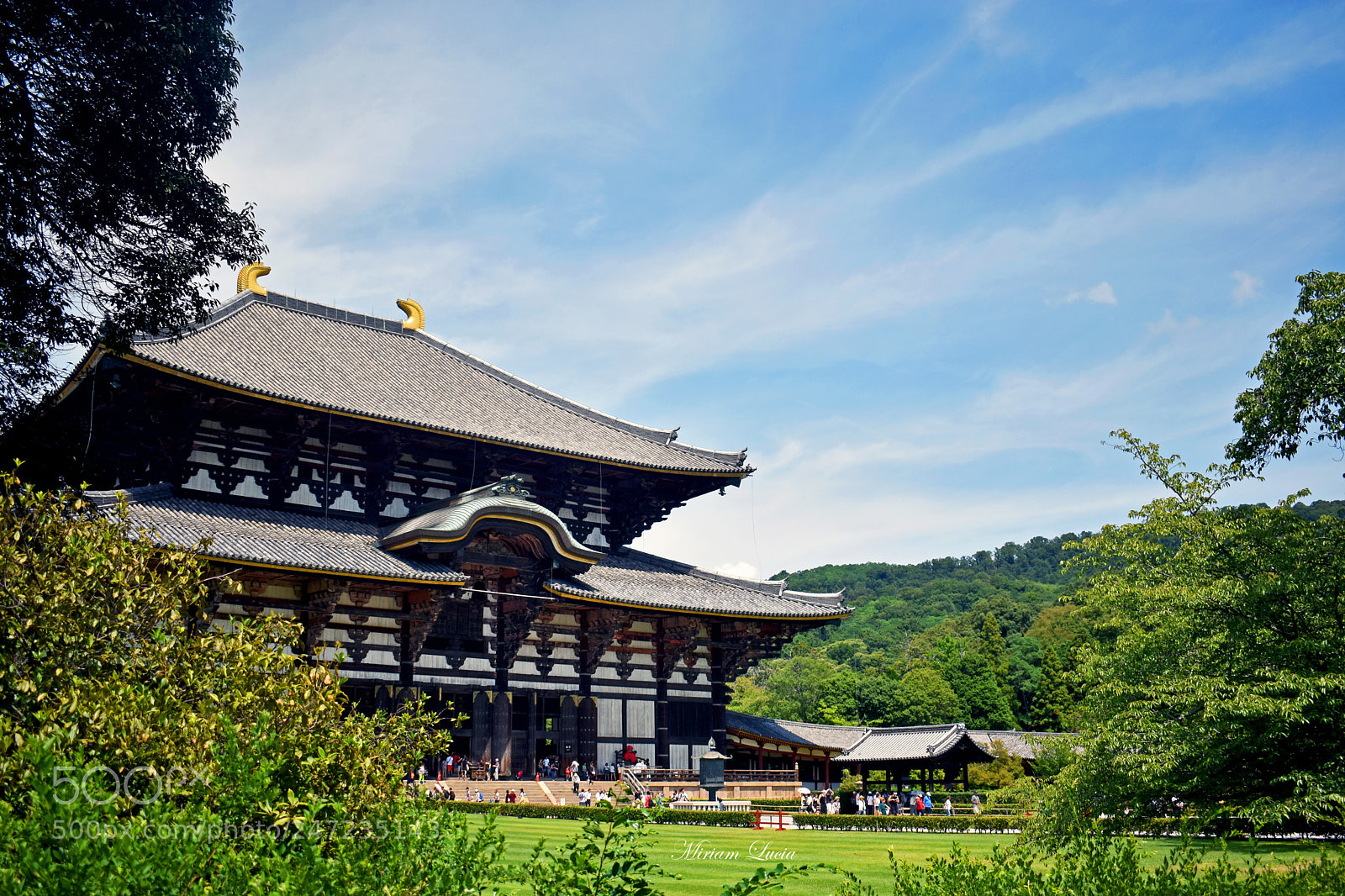 Nikon D5600 sample photo. Todai-ji temple photography