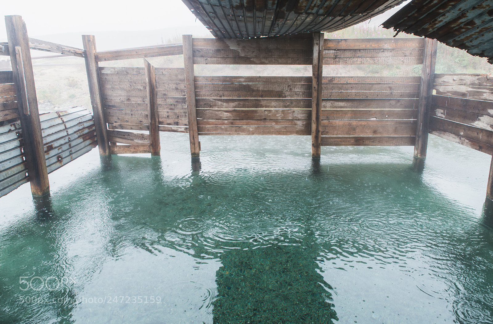Nikon D800 sample photo. Northern bathing photography