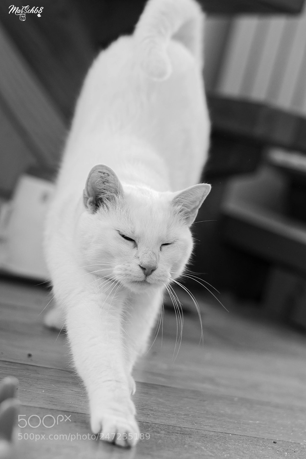 Nikon D7200 sample photo. Wake up! photography