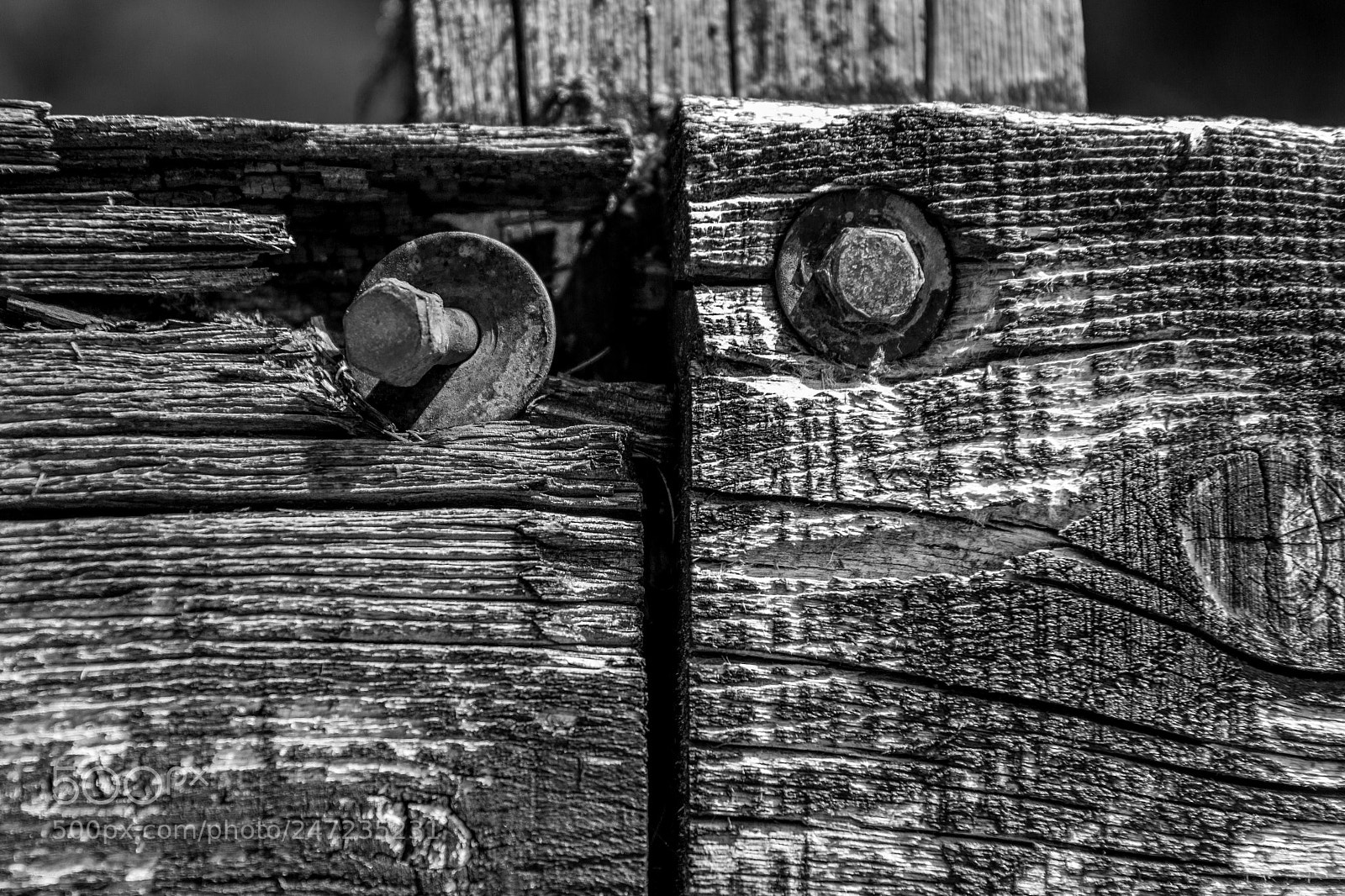 Canon EOS 600D (Rebel EOS T3i / EOS Kiss X5) sample photo. Wooden face photography