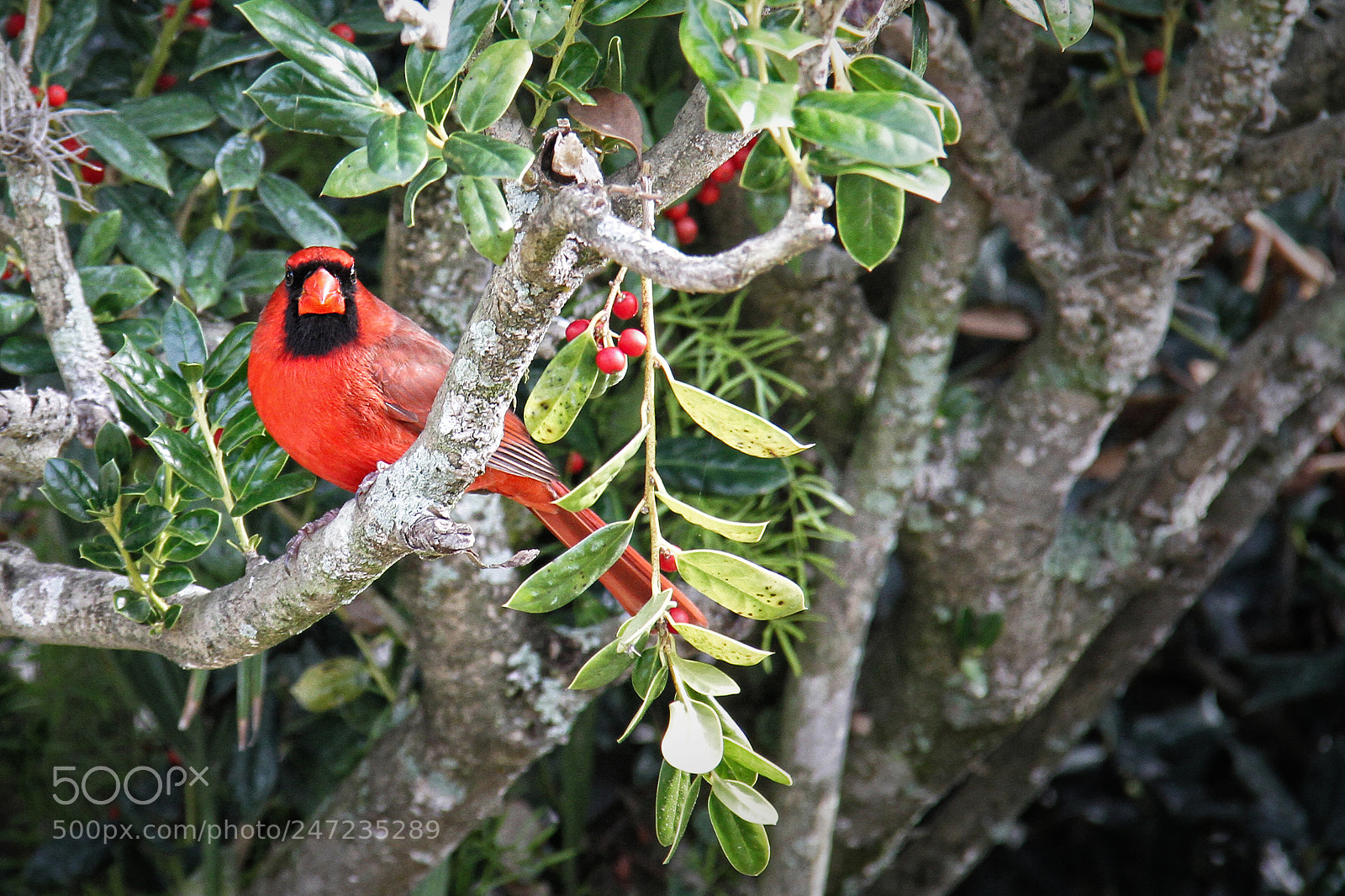 Canon EOS 7D sample photo. Untitled photography