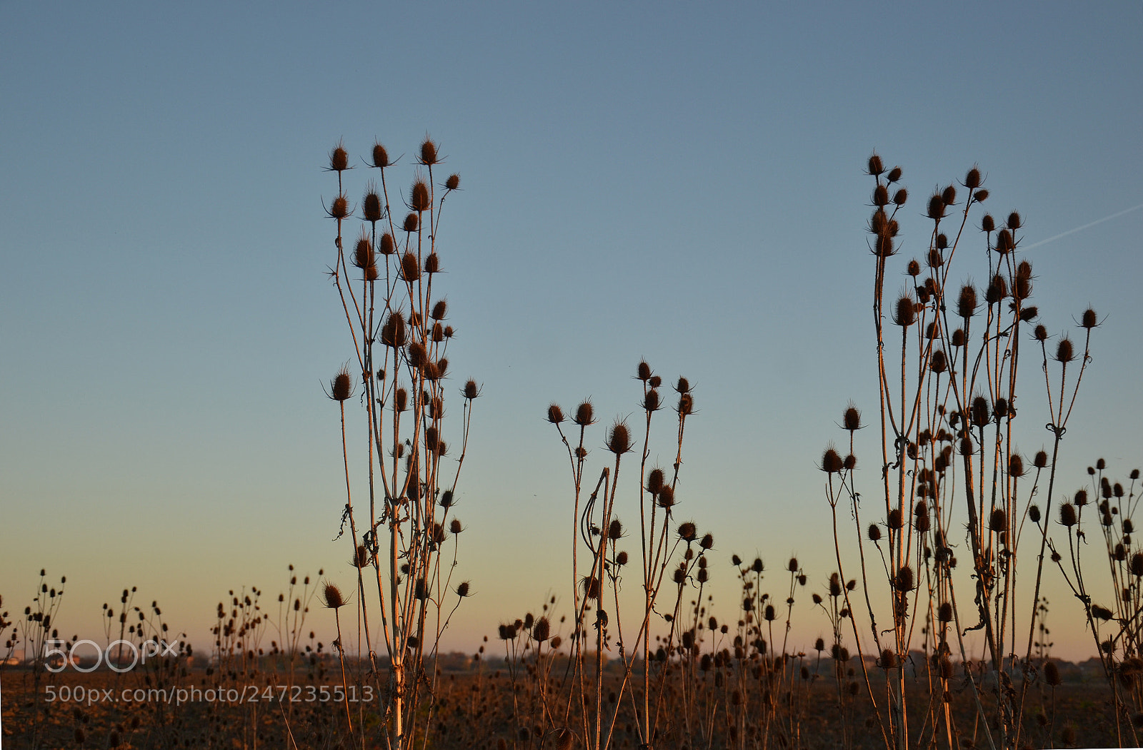 Nikon D3100 sample photo. On the road photography