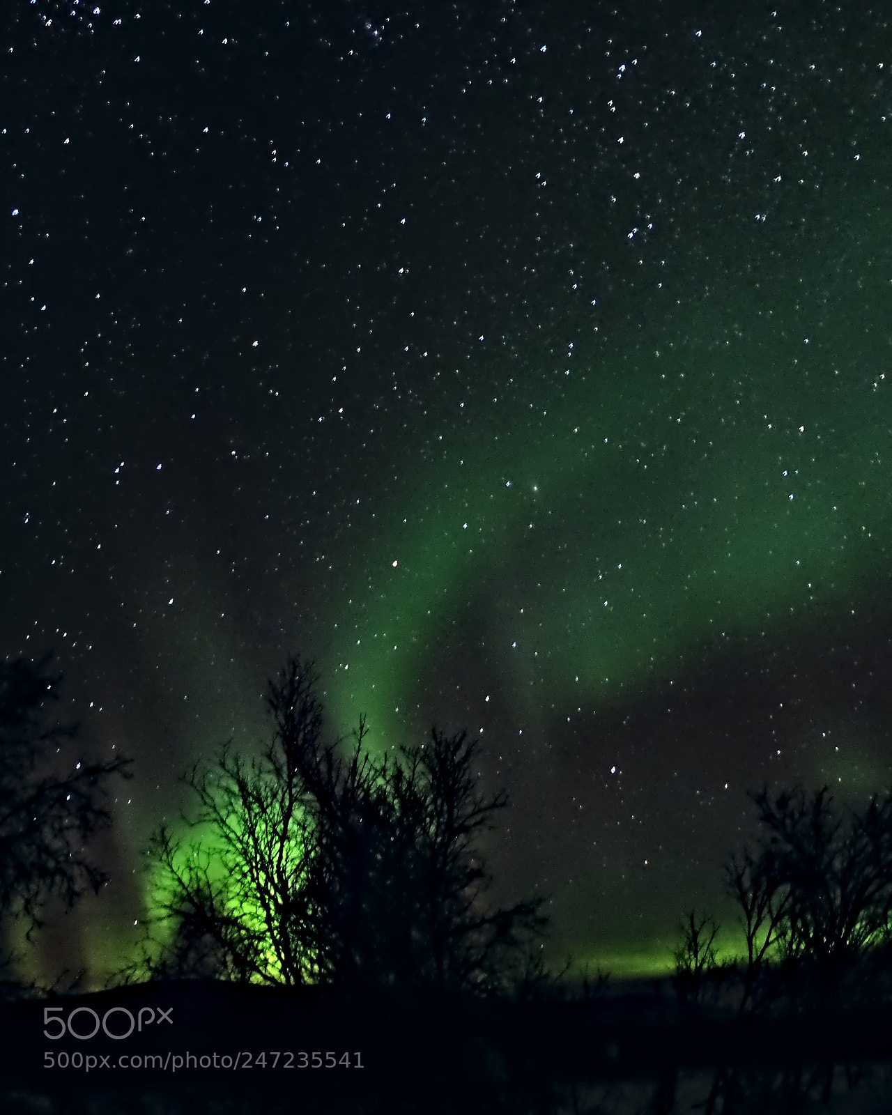 Fujifilm X-T10 sample photo. Arctic aurora photography