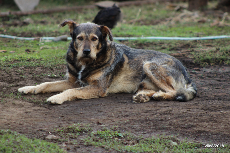 EF75-300mm f/4-5.6 sample photo. Can photography