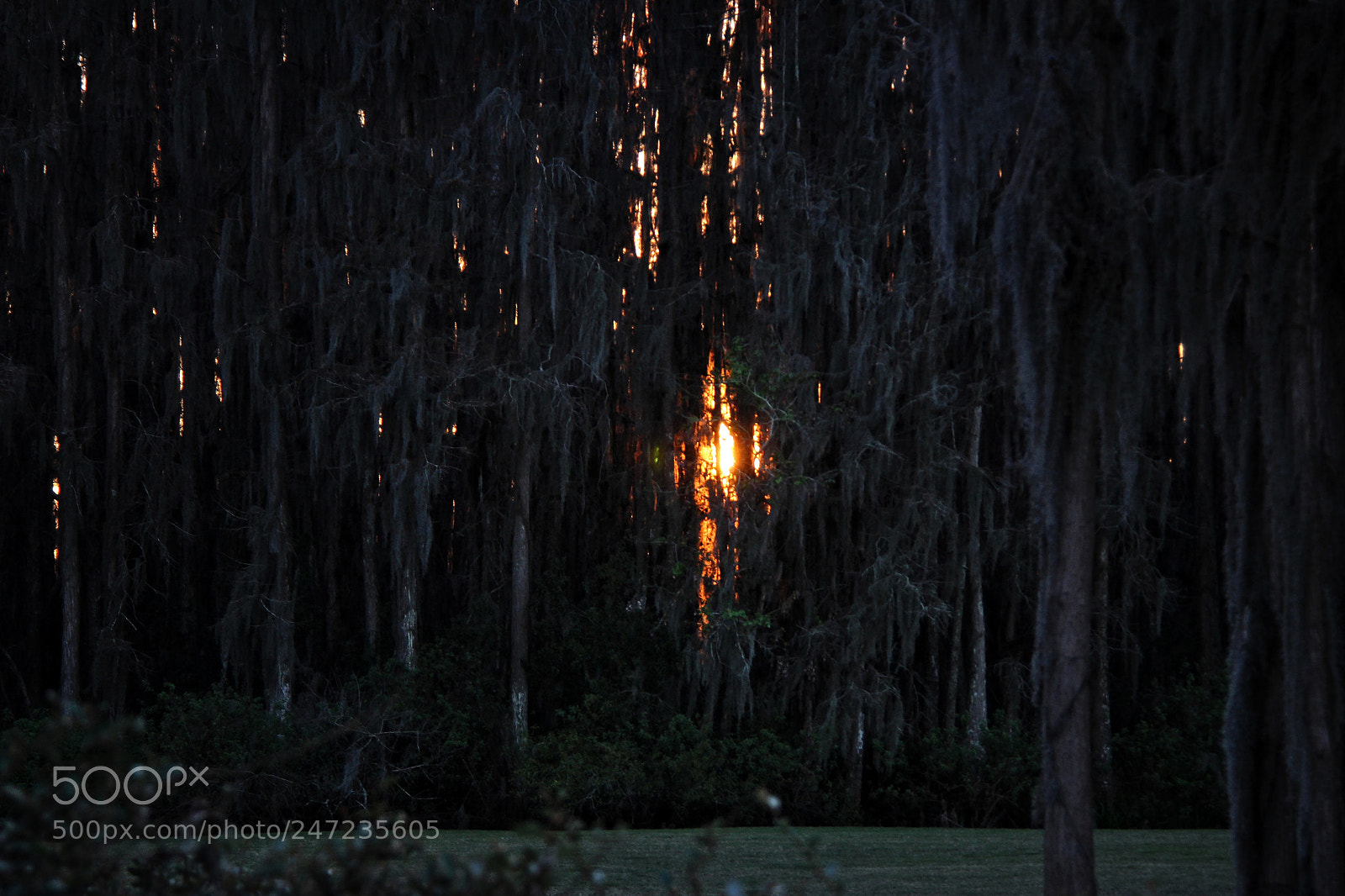 Canon EOS 7D sample photo. Untitled photography