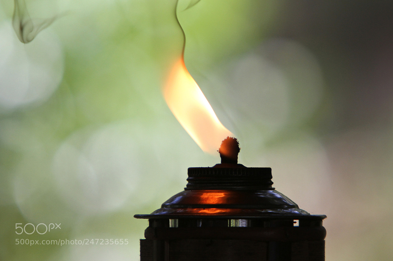 Canon EOS 7D sample photo. Untitled photography