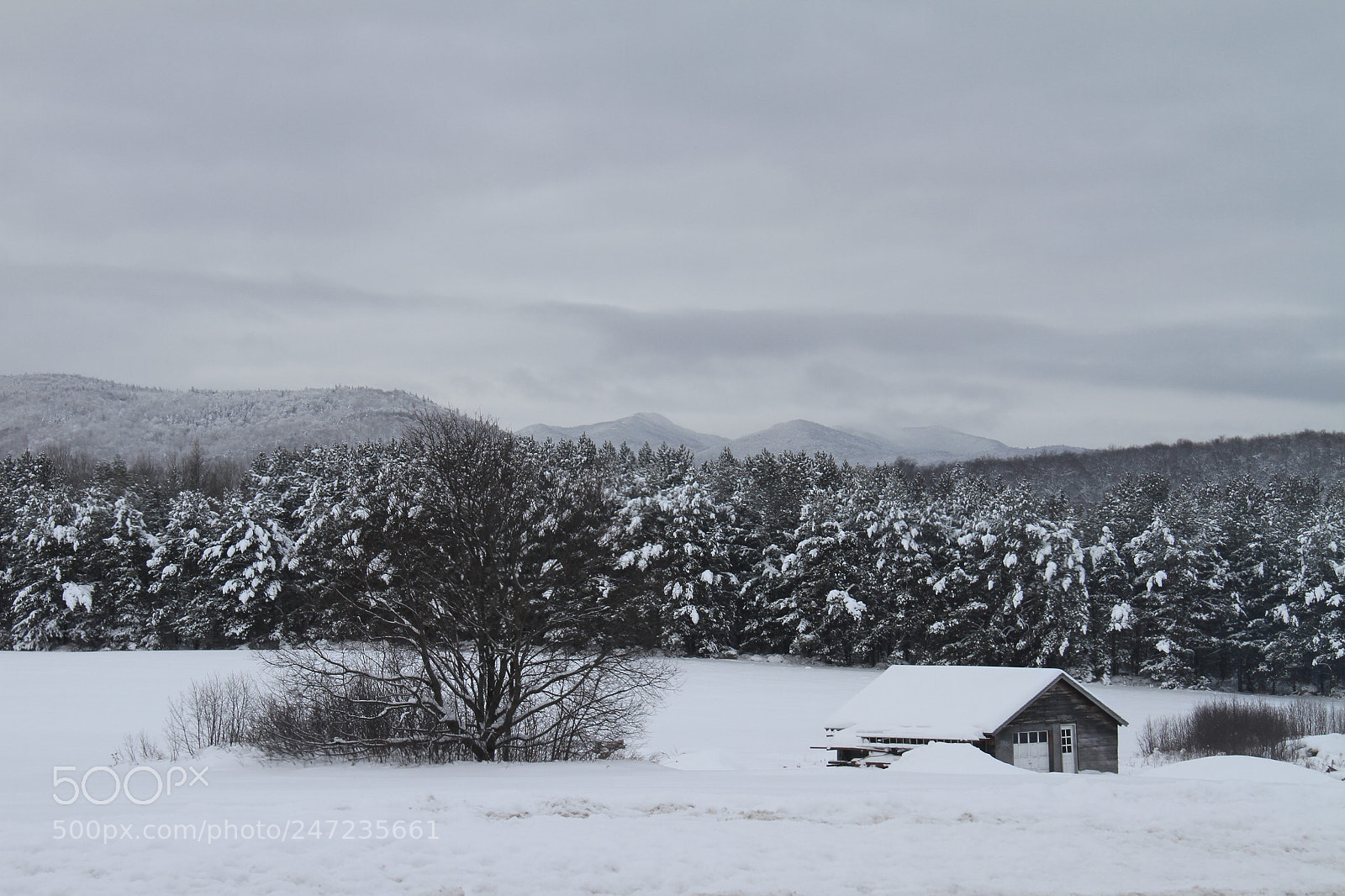 Canon EOS 7D sample photo. Untitled photography