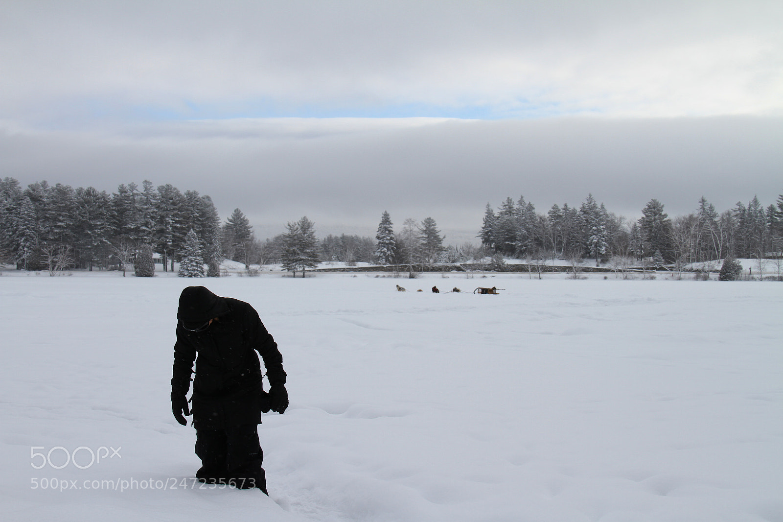 Canon EOS 7D sample photo. Untitled photography