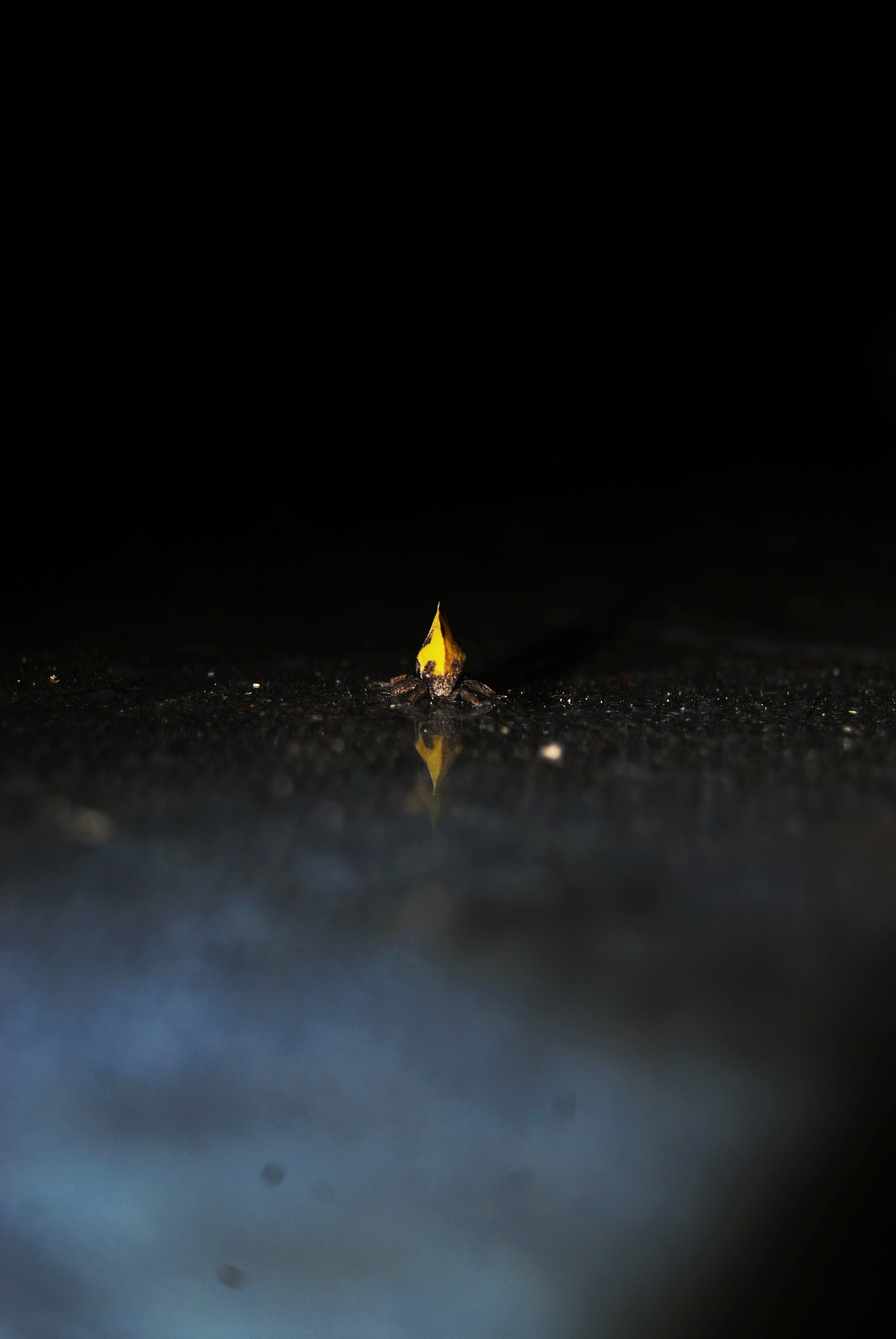 Nikon D40X sample photo. Alone in the dark photography