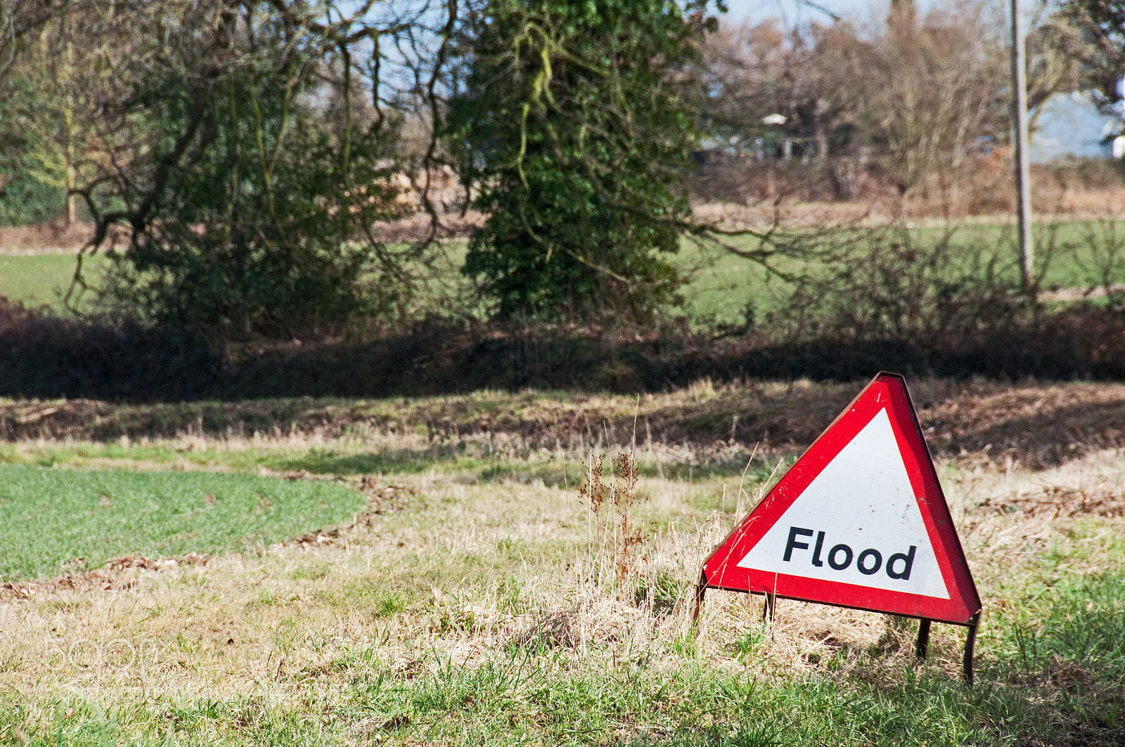 Nikon D90 sample photo. Flood photography