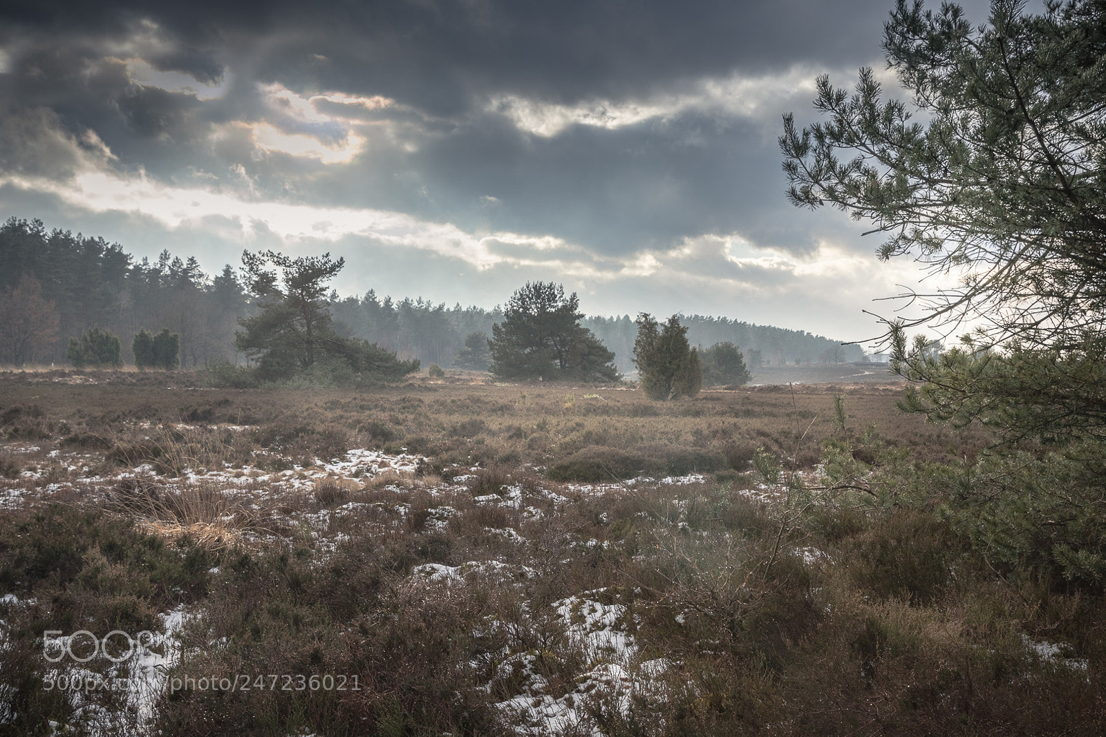 Canon EOS 80D sample photo. Kalte l neburger heide photography