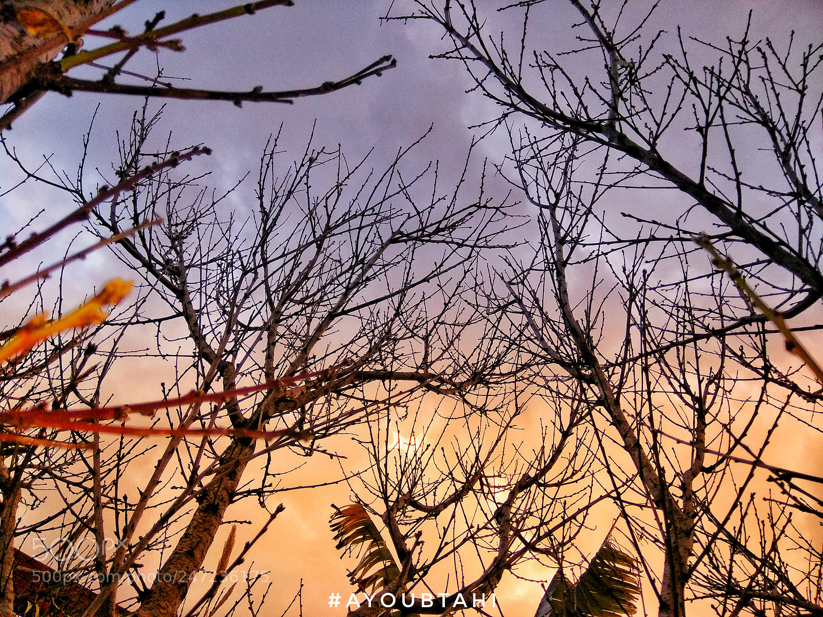 Xiaomi Redmi Note 4 sample photo. Untitled photography