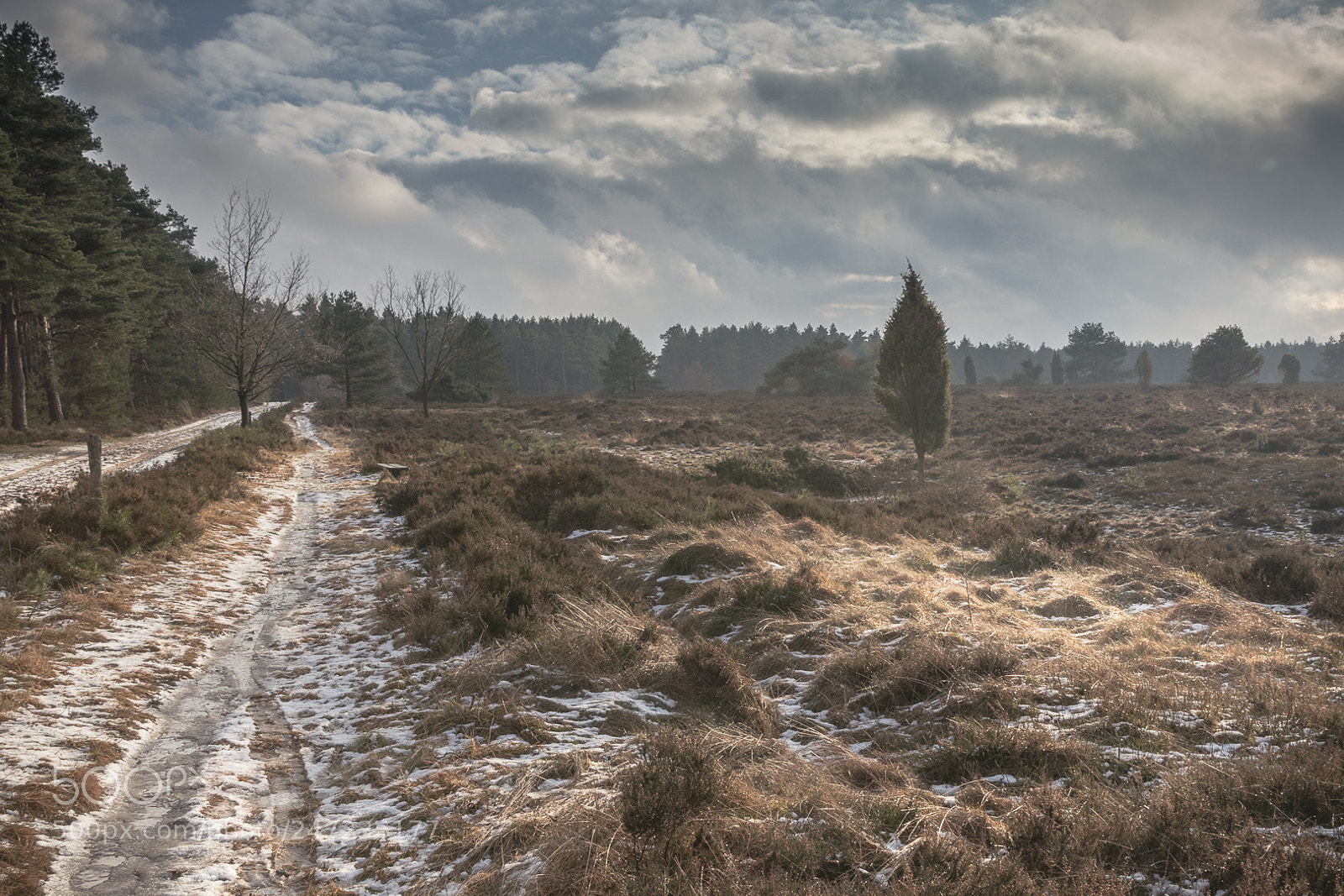 Canon EOS 80D sample photo. Kalte l neburger heide photography