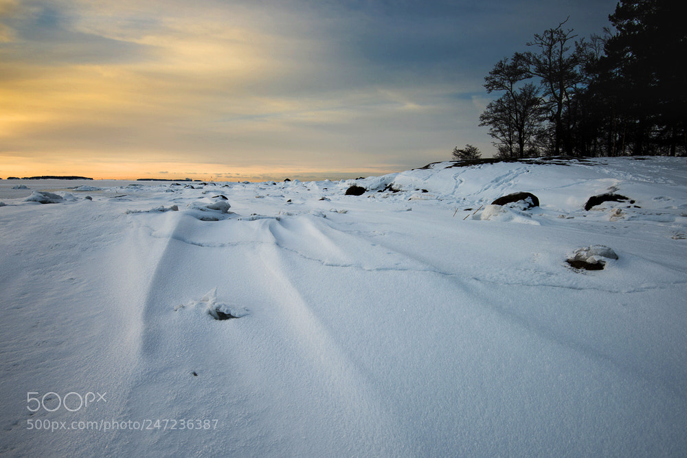 Nikon D810 sample photo. Winter morning photography