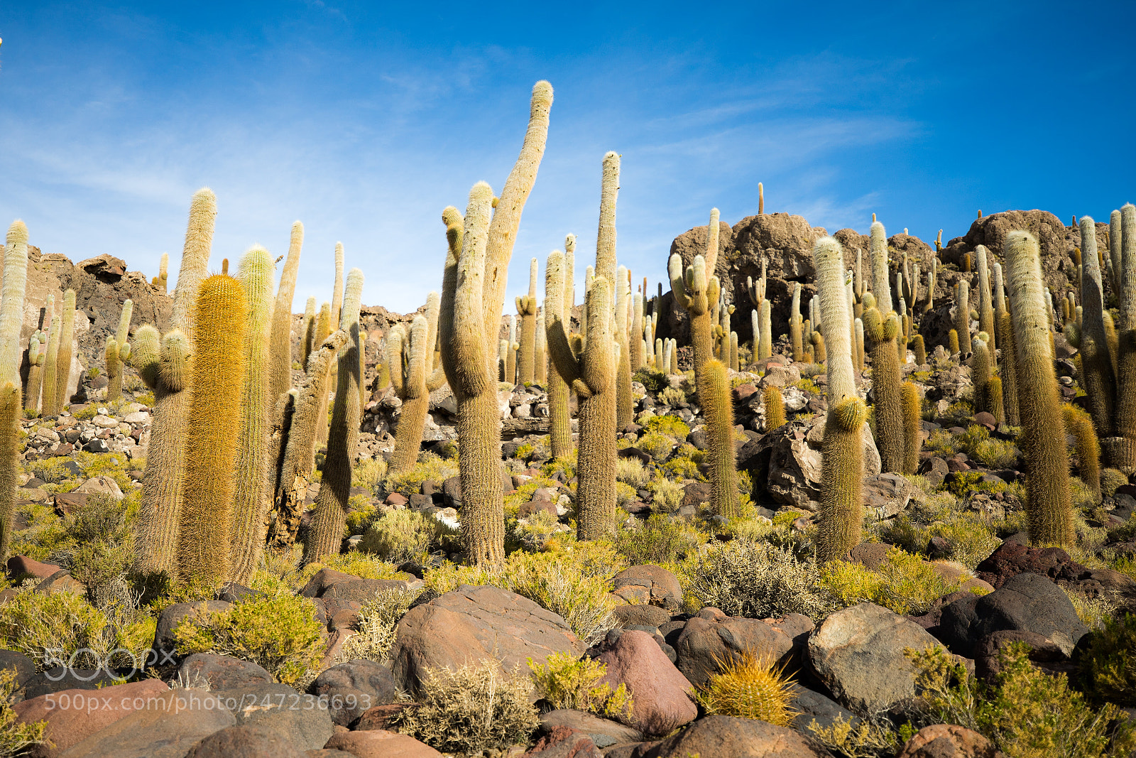 Sony a7 II sample photo. Bolivia photography