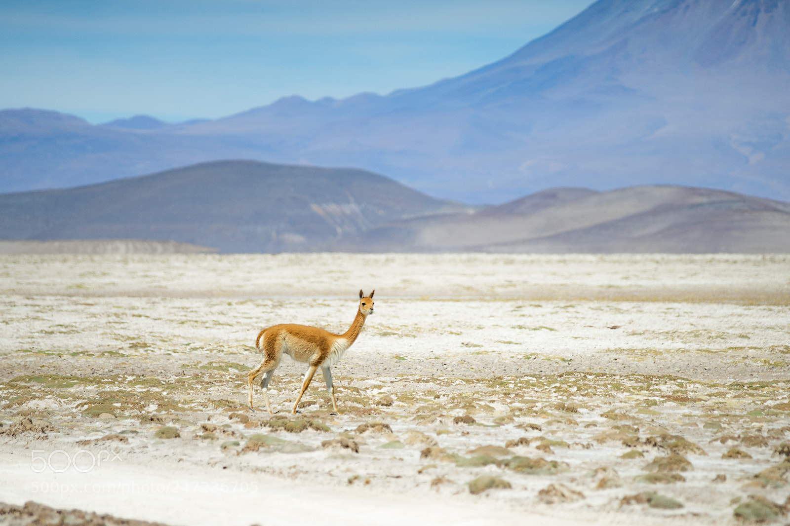 Sony a7 II sample photo. Bolivia photography