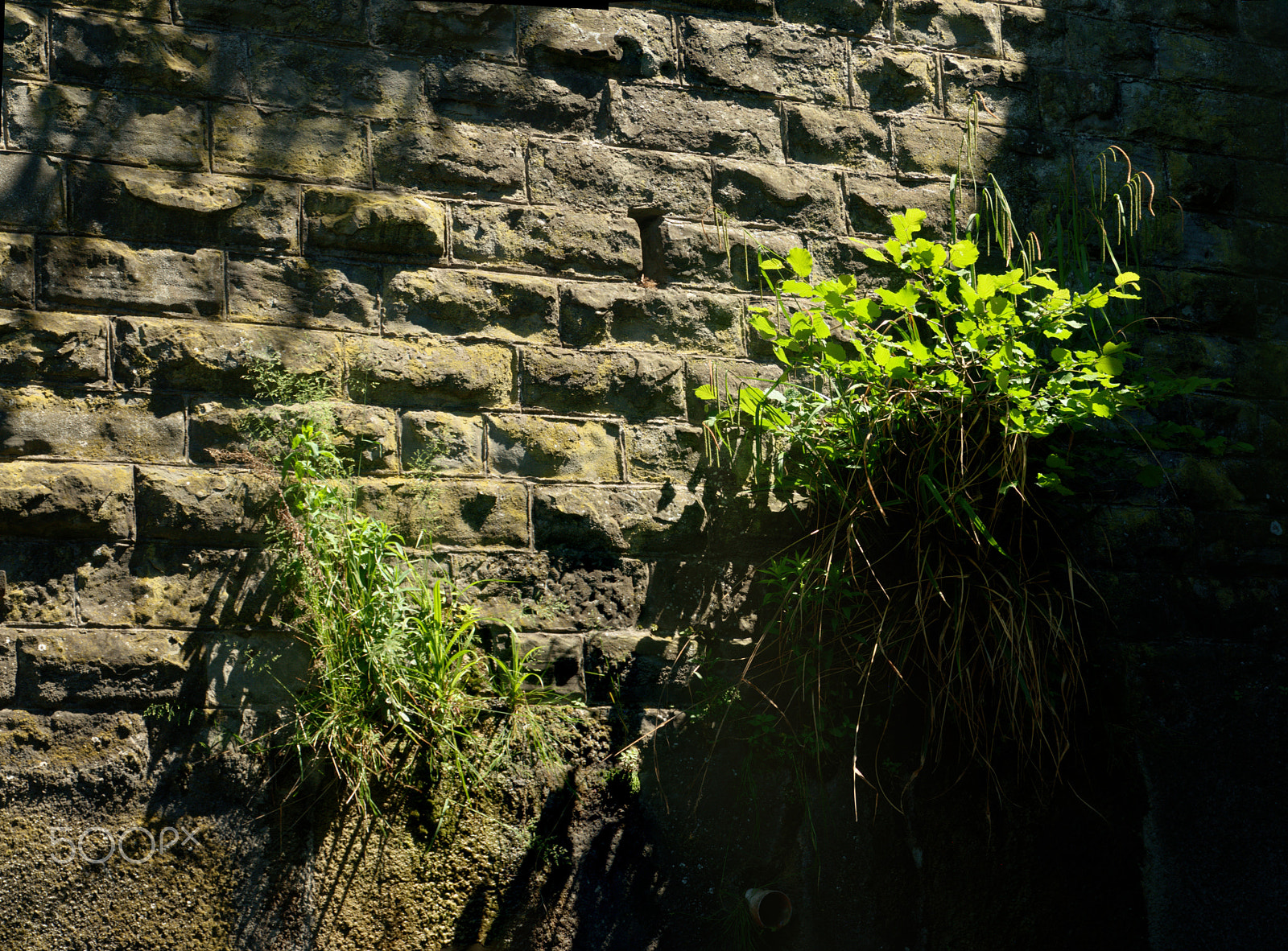 Nikon D300 sample photo. Out of the walls photography