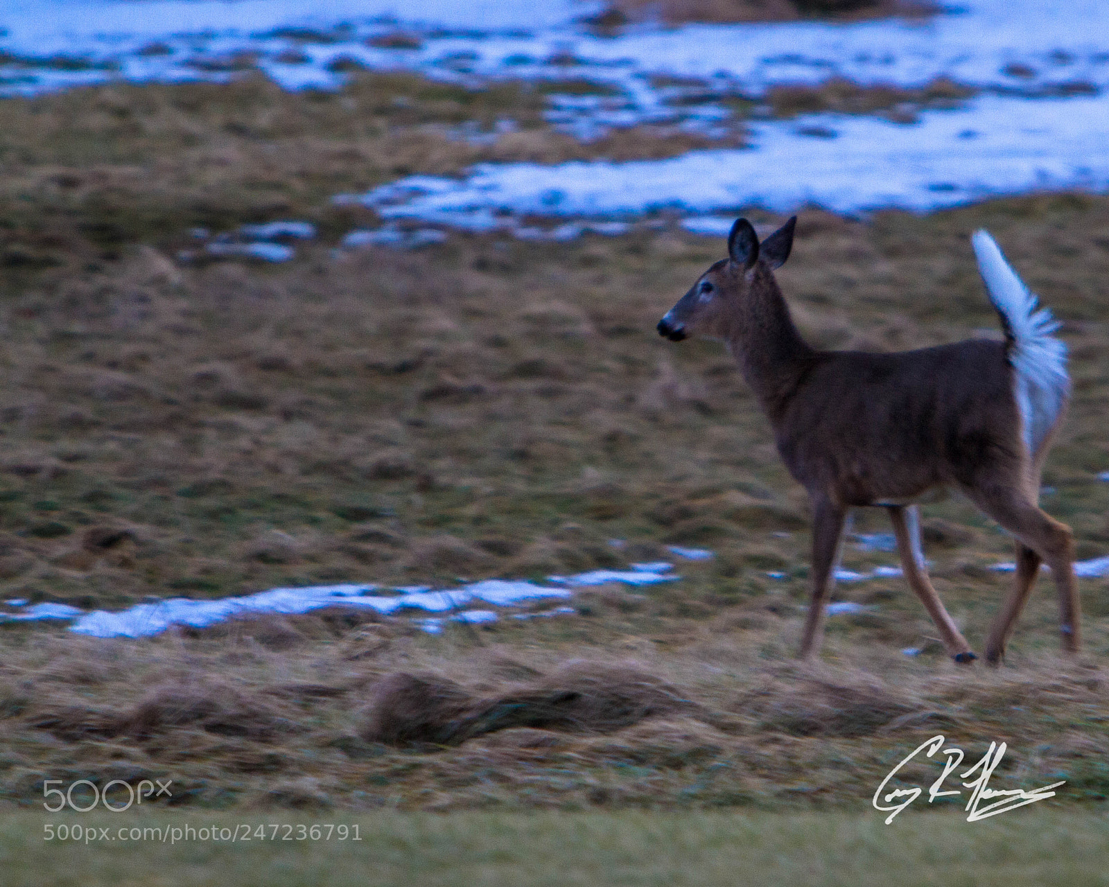 Canon EOS 7D sample photo. Untitled photography