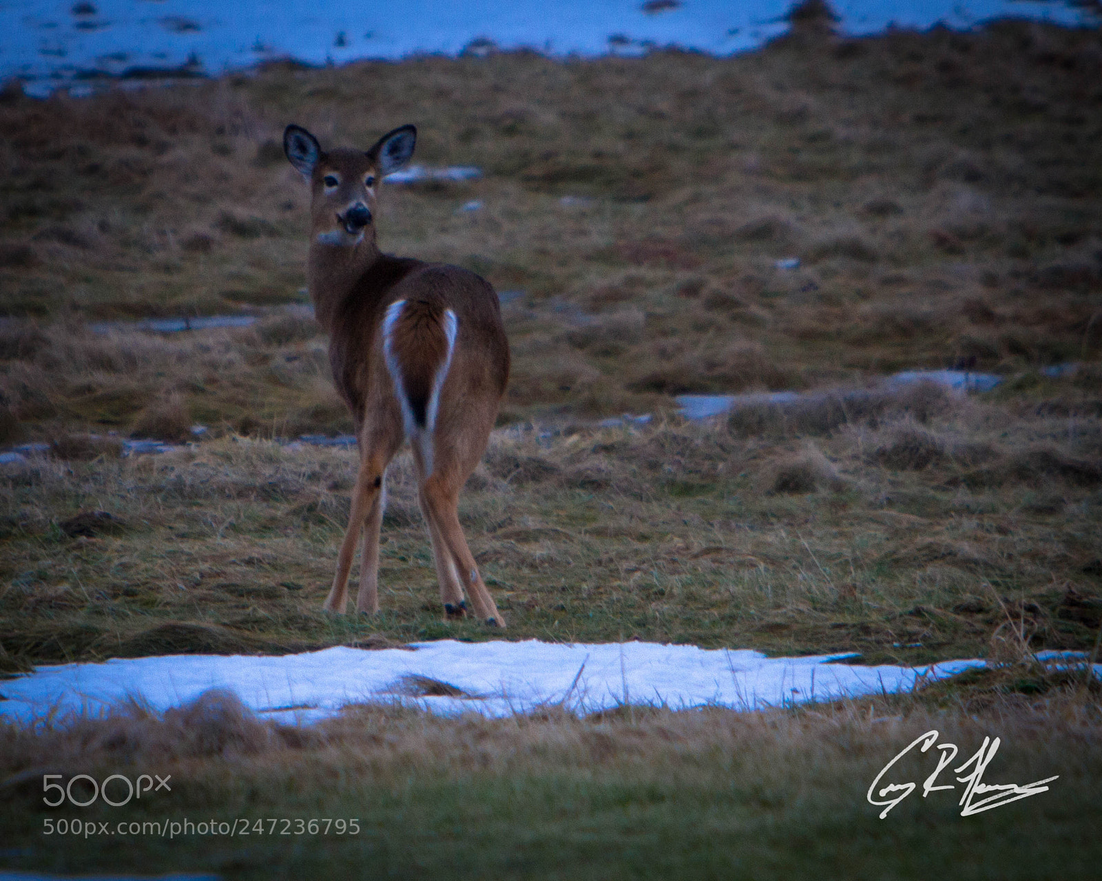 Canon EOS 7D sample photo. Untitled photography