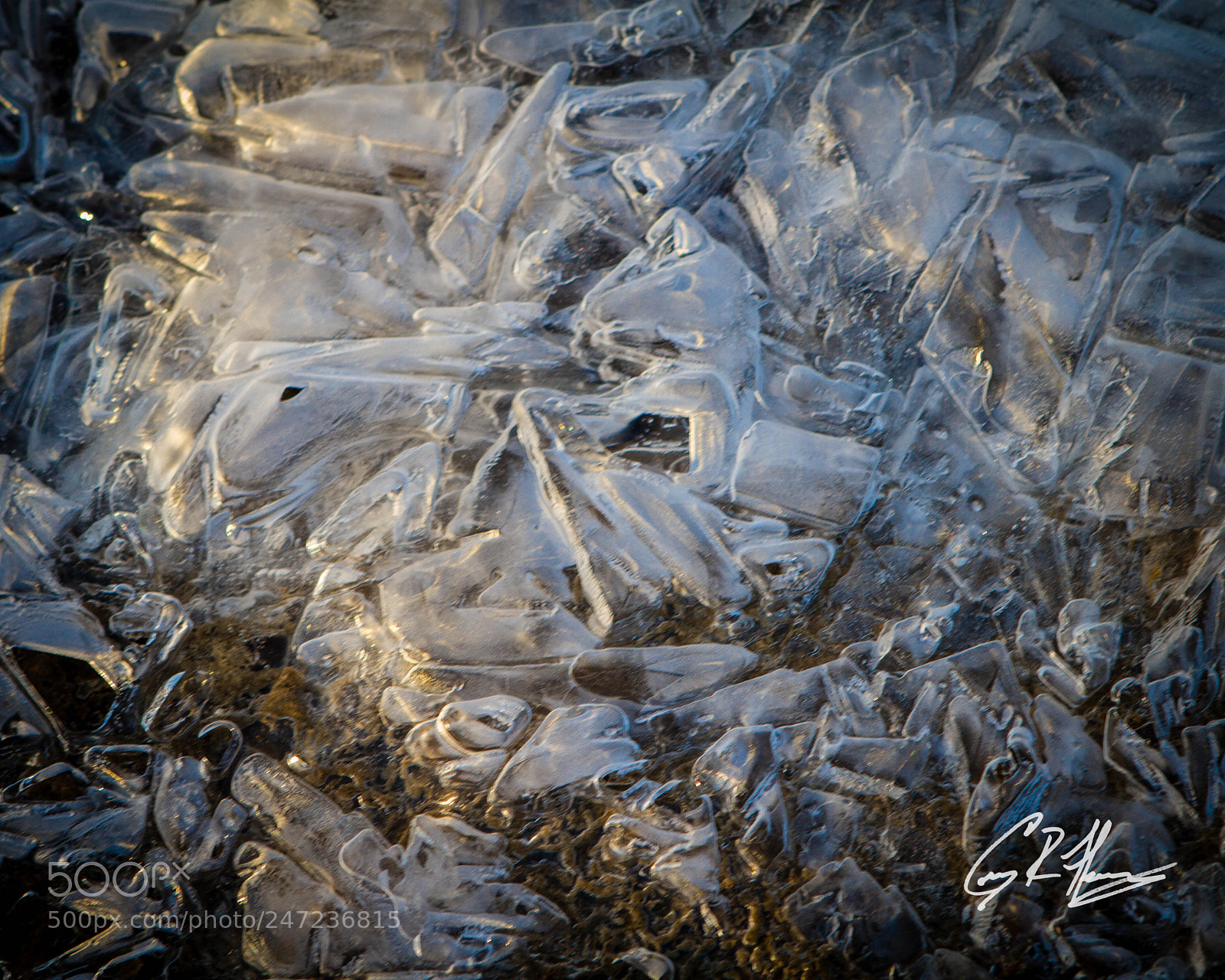 Canon EOS 7D sample photo. Untitled photography