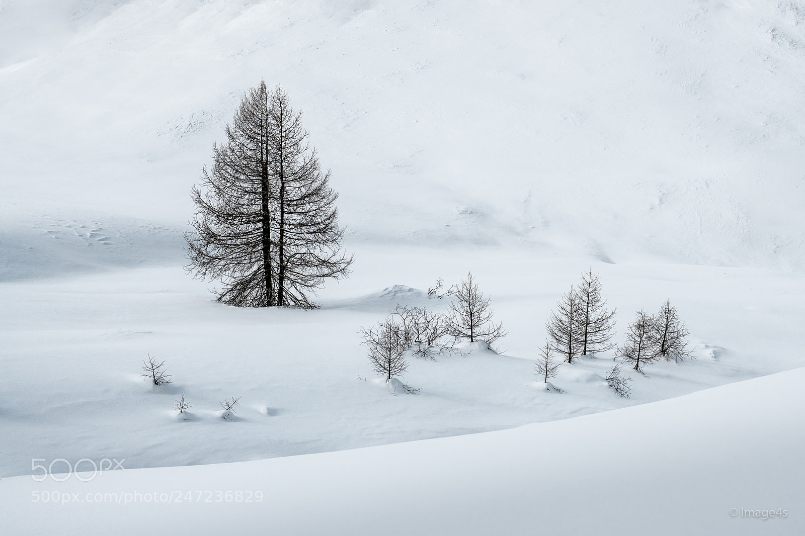 Nikon D850 sample photo. Winter family photography