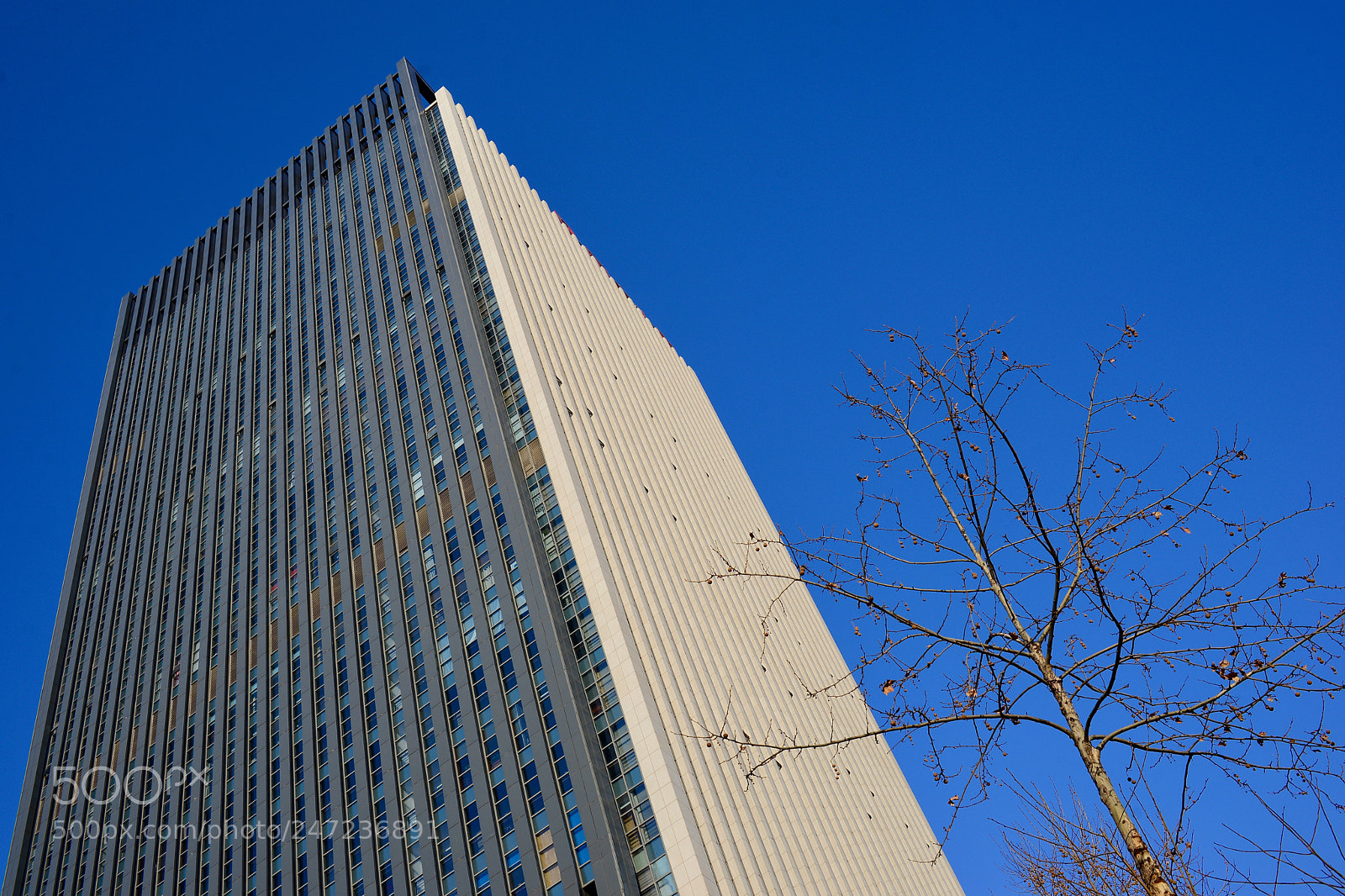 Nikon D610 sample photo. 盼晴 photography
