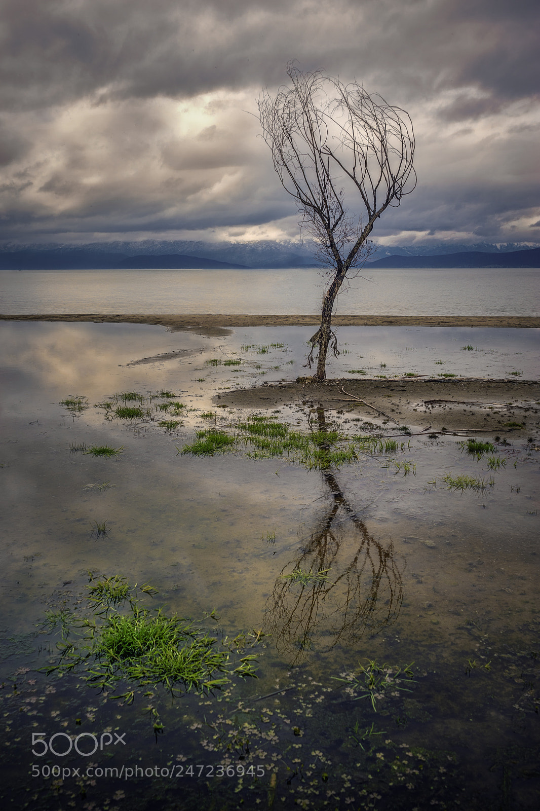 Sony a7 II sample photo. Waiting the spring photography