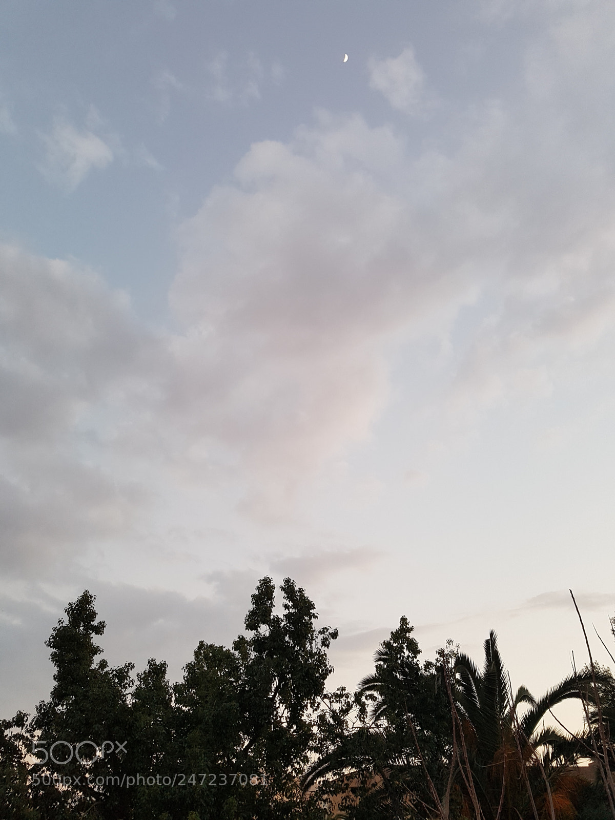 Samsung Galaxy S7 sample photo. Untitled photography