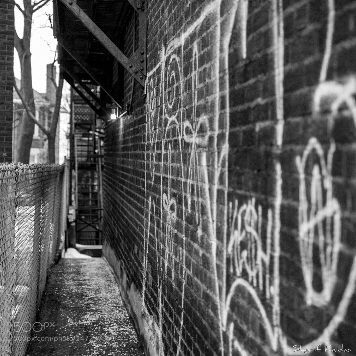 Canon EOS 750D (EOS Rebel T6i / EOS Kiss X8i) sample photo. In the alleyway photography