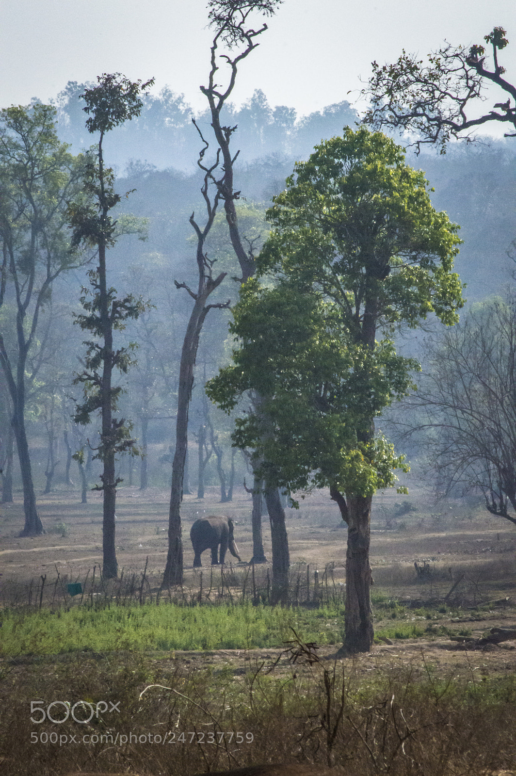 Nikon D3200 sample photo. Habitats photography