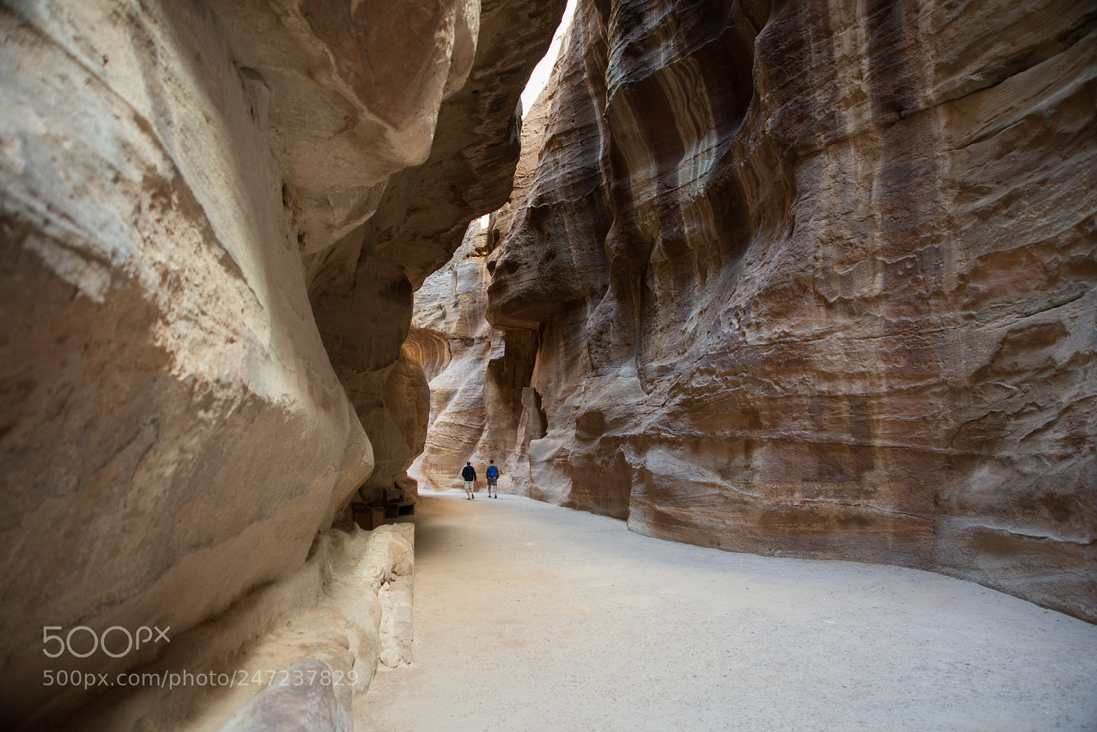 Nikon D800 sample photo. Petra path photography