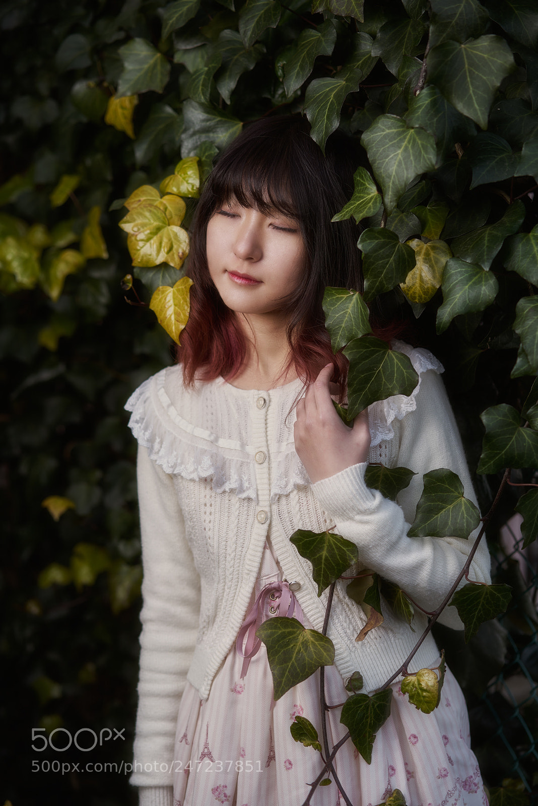 Sony a7R II sample photo. Ivory photography