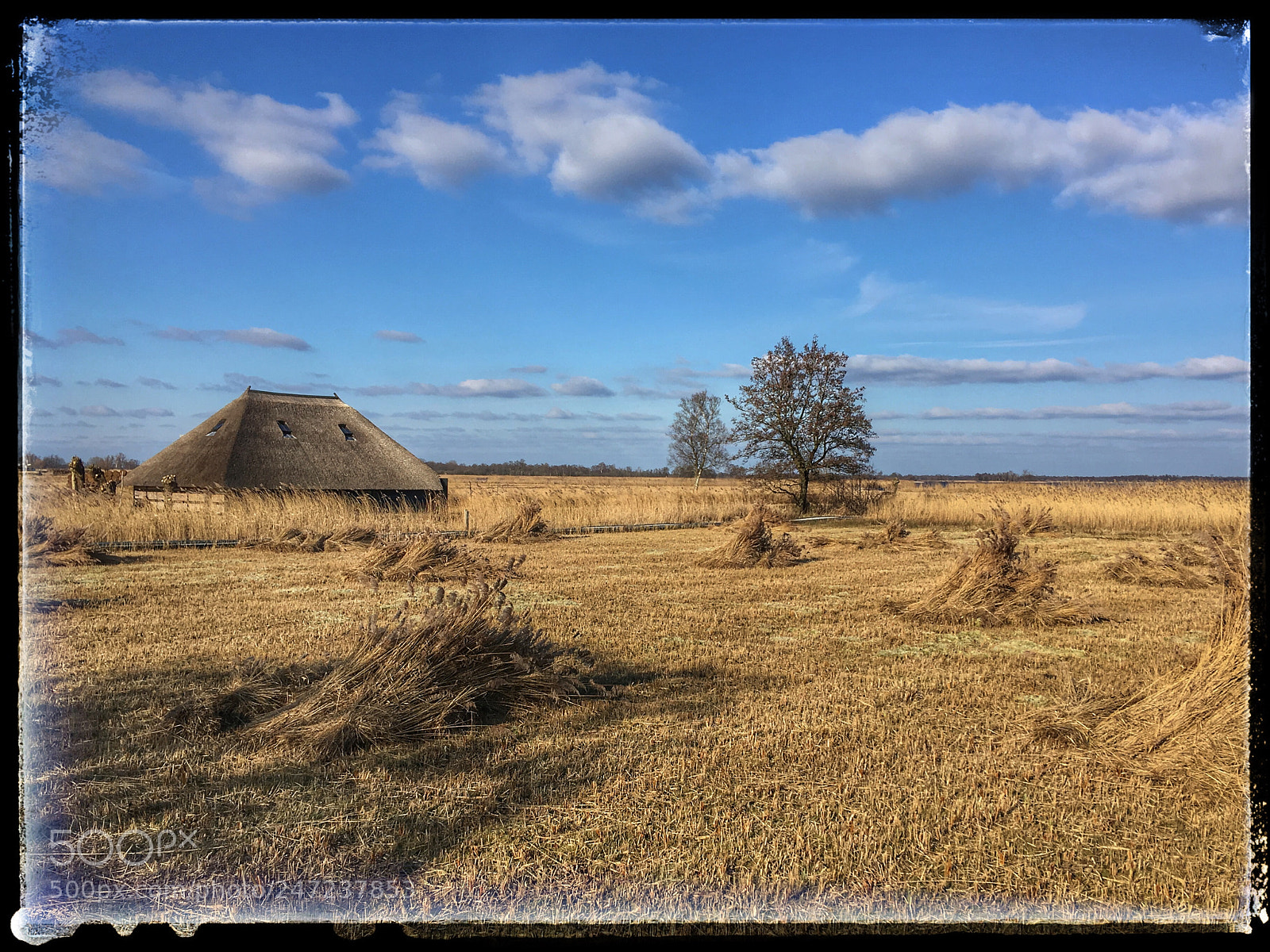 Apple iPhone SE sample photo. De wieden overijssel photography