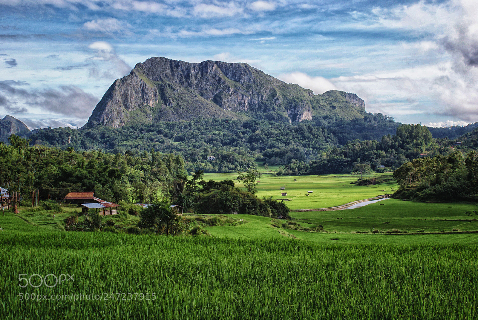 Sony Alpha DSLR-A200 sample photo. From the kandora hill photography