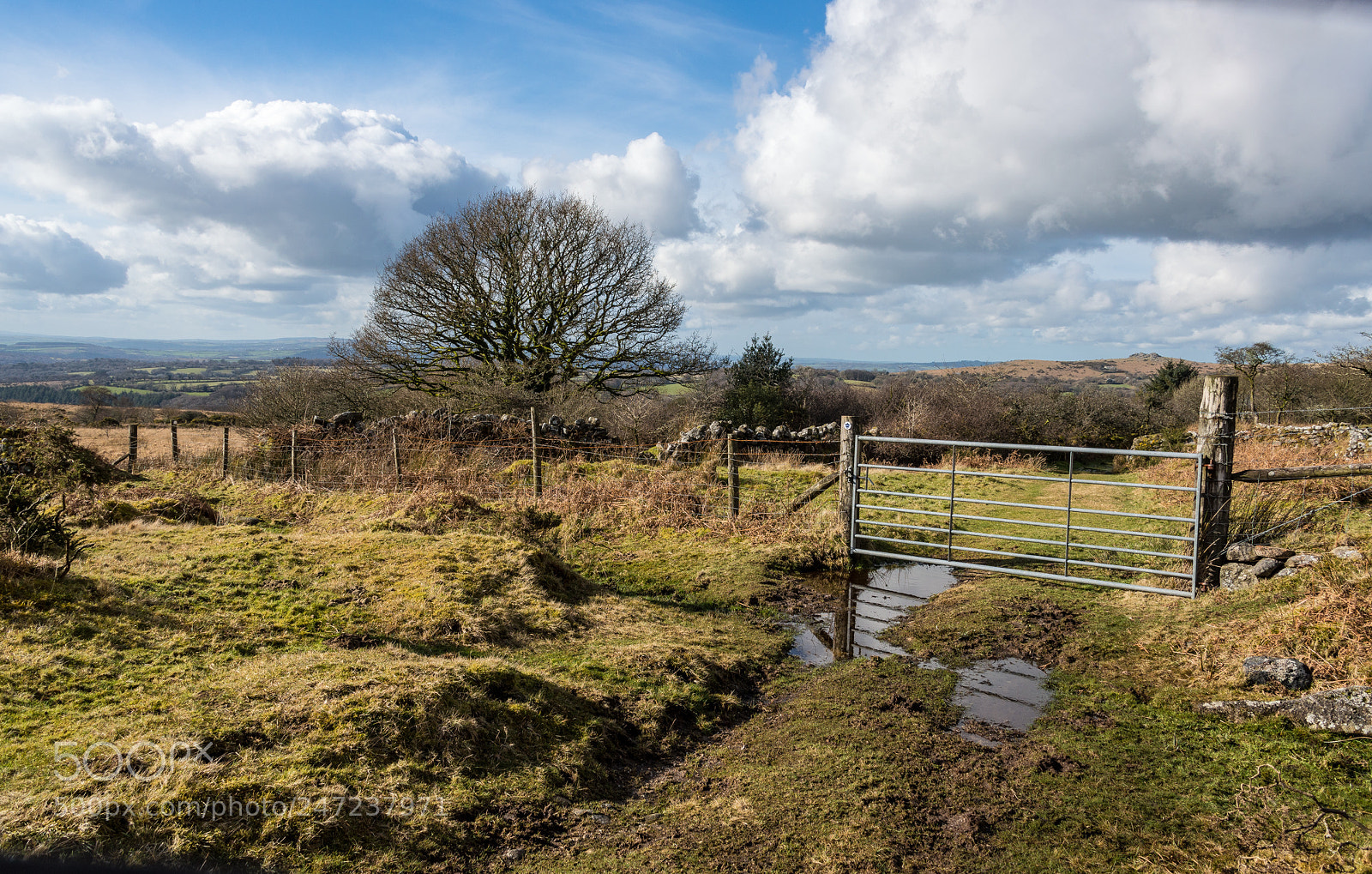 Nikon D610 sample photo. Gate to a dartmoor photography