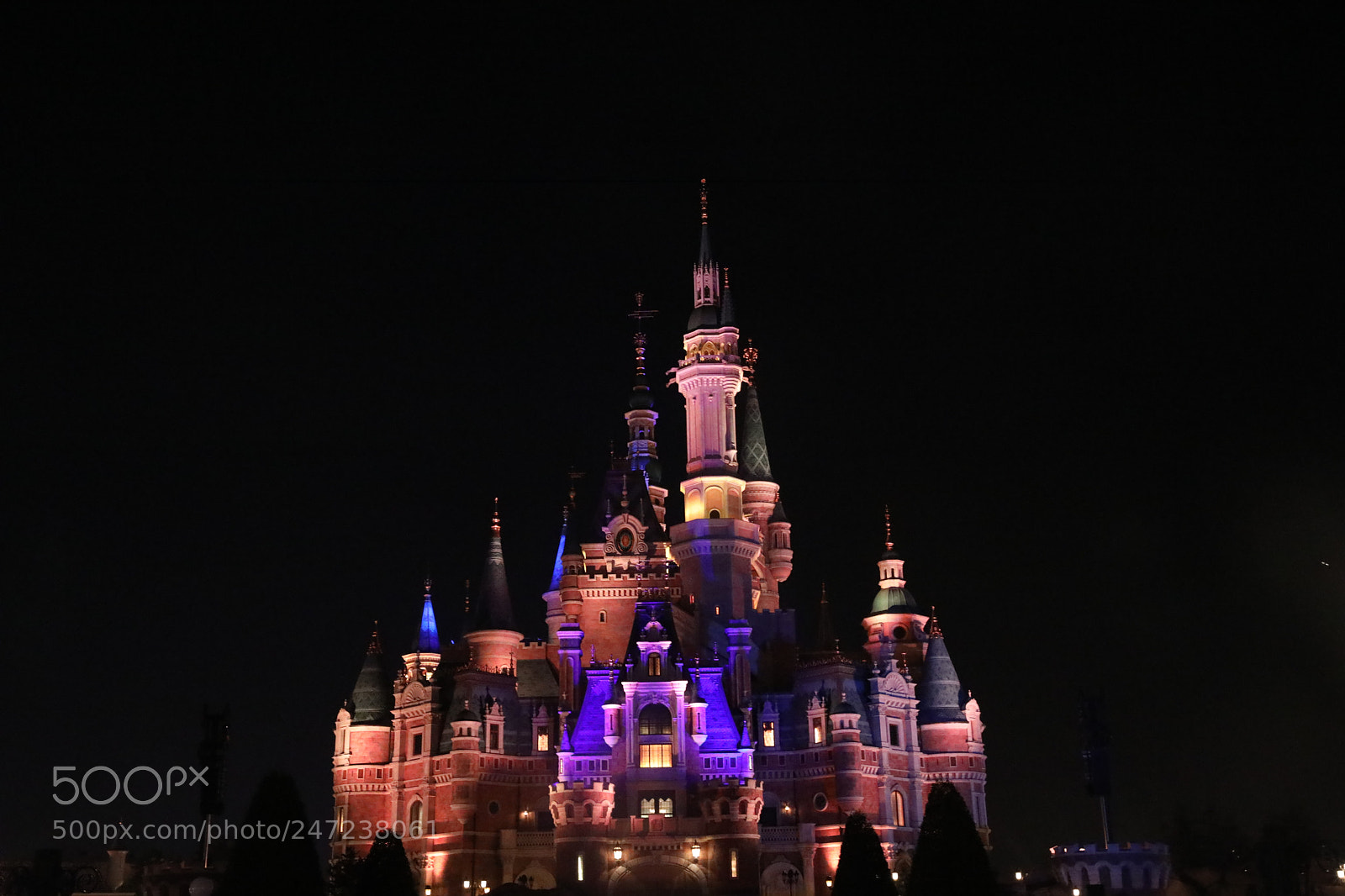 Canon EF 24-70mm F2.8L II USM sample photo. Untitled photography