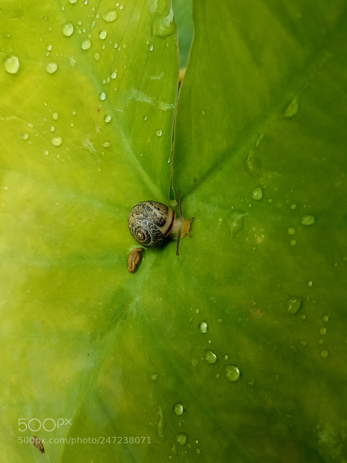 Samsung Galaxy S7 Edge sample photo. Untitled photography