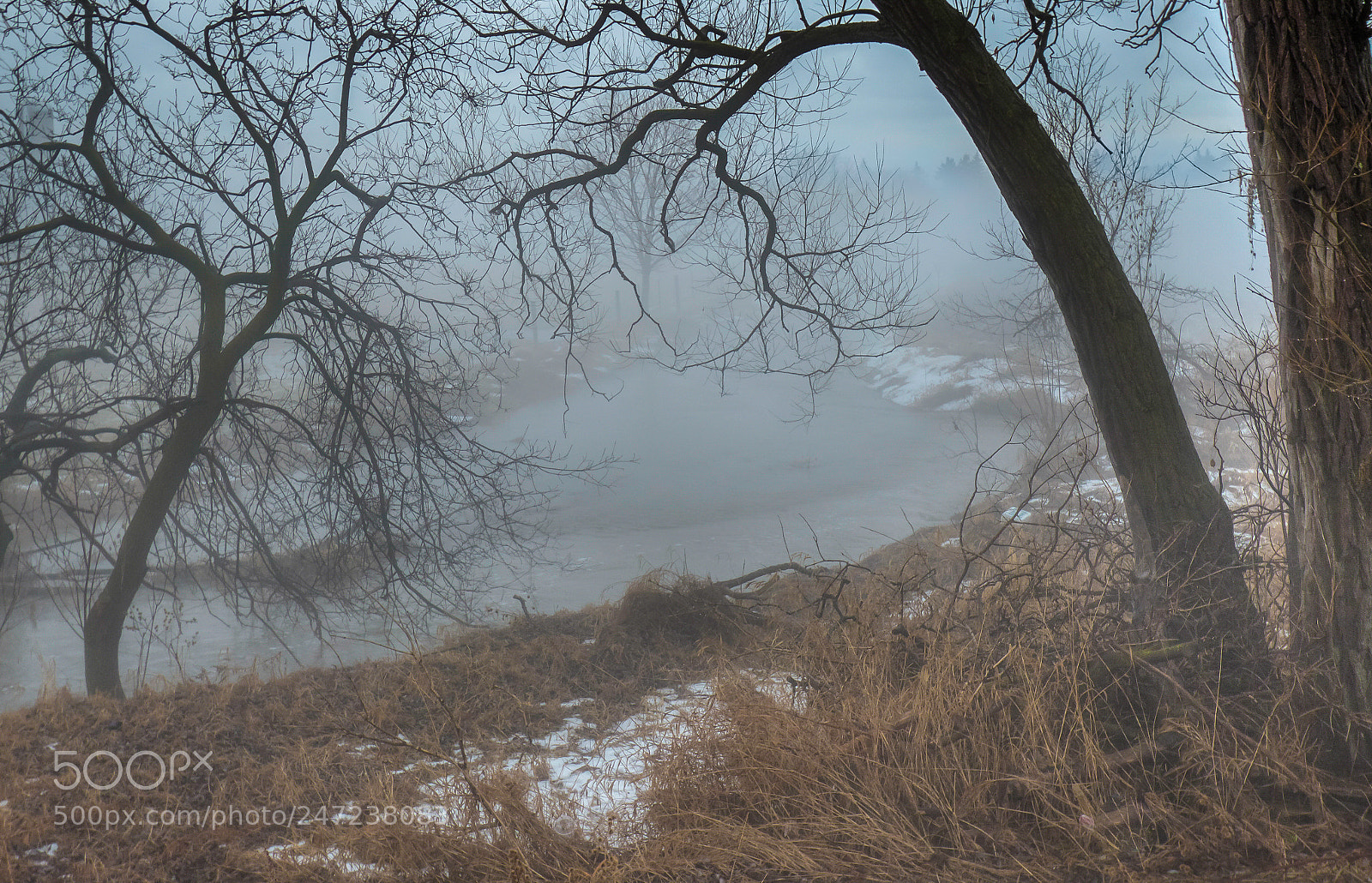 Canon EOS 600D (Rebel EOS T3i / EOS Kiss X5) sample photo. Ontario,fog1 photography