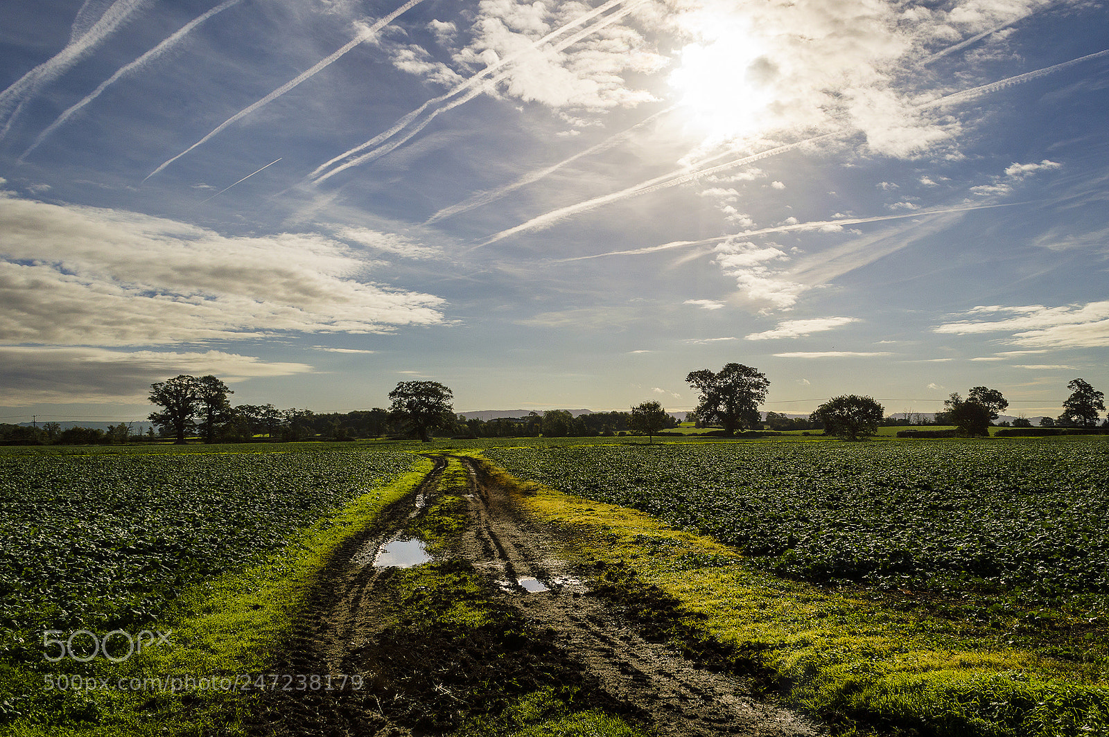 Nikon D3200 sample photo. Sunnyfields photography