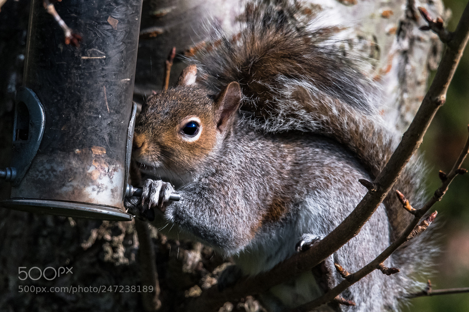 Nikon D850 sample photo. Wasn't me! photography